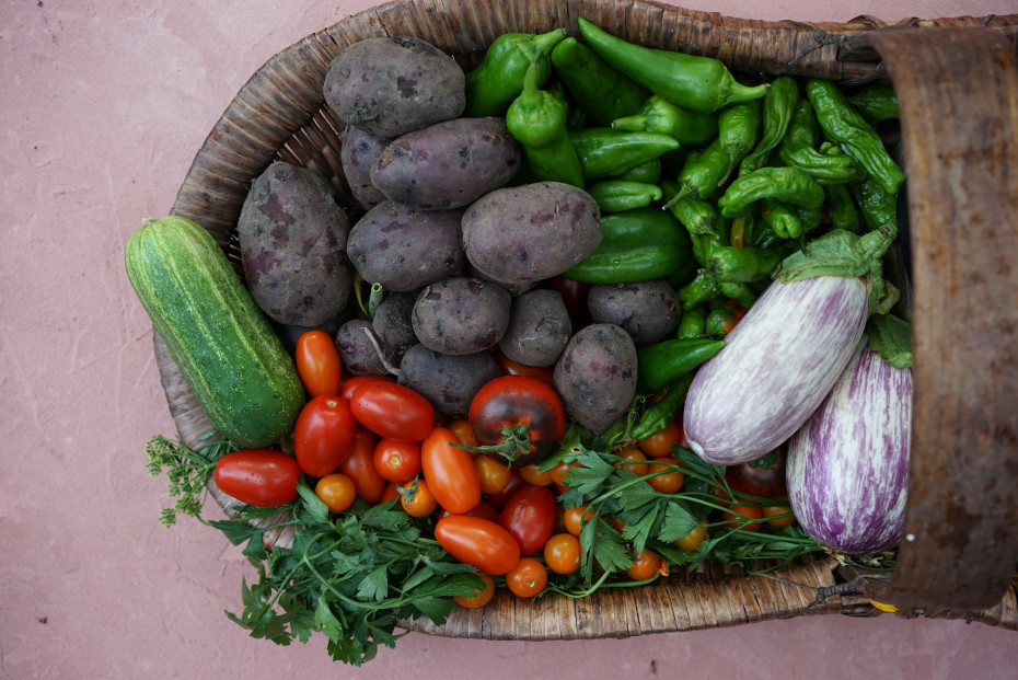 Is It Too Late to Start a Garden? • Gardenary