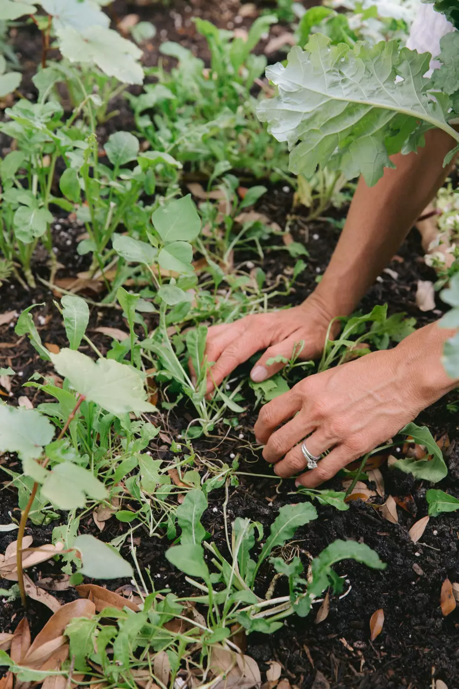 Episode 35 of the Grow Yourself Podcast: Talk Dirty to Me