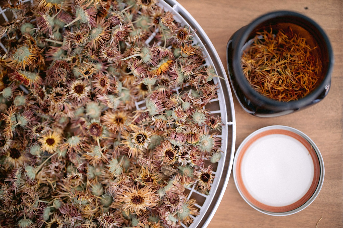 calendula tea recipe