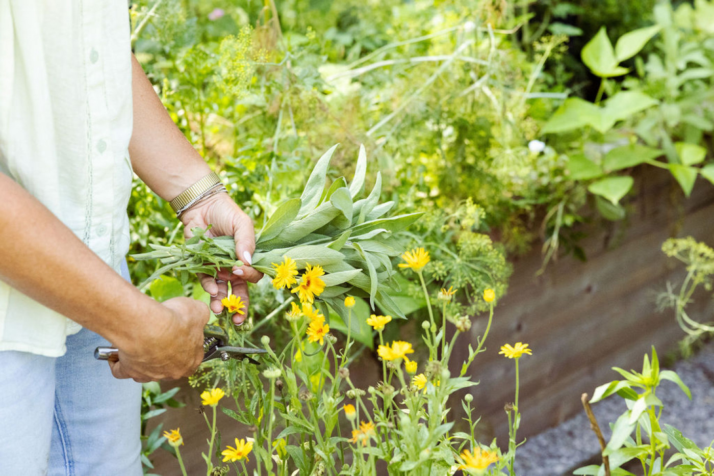 fall kitchen garden harvest