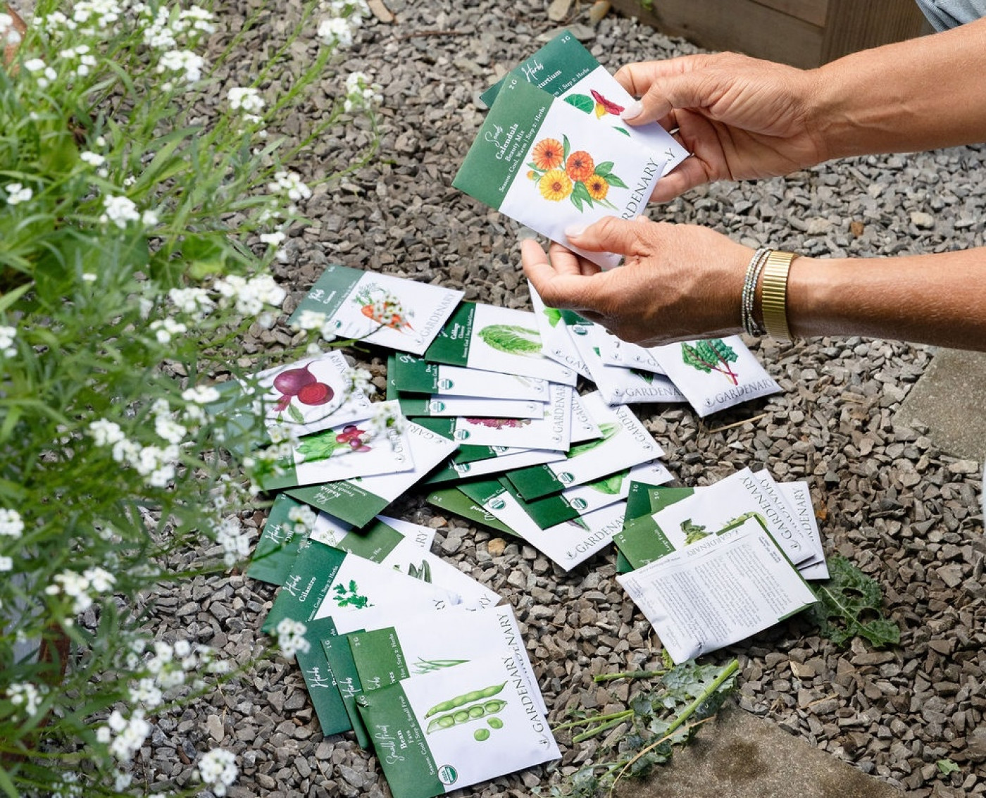 planting vegetables by seed in the fall