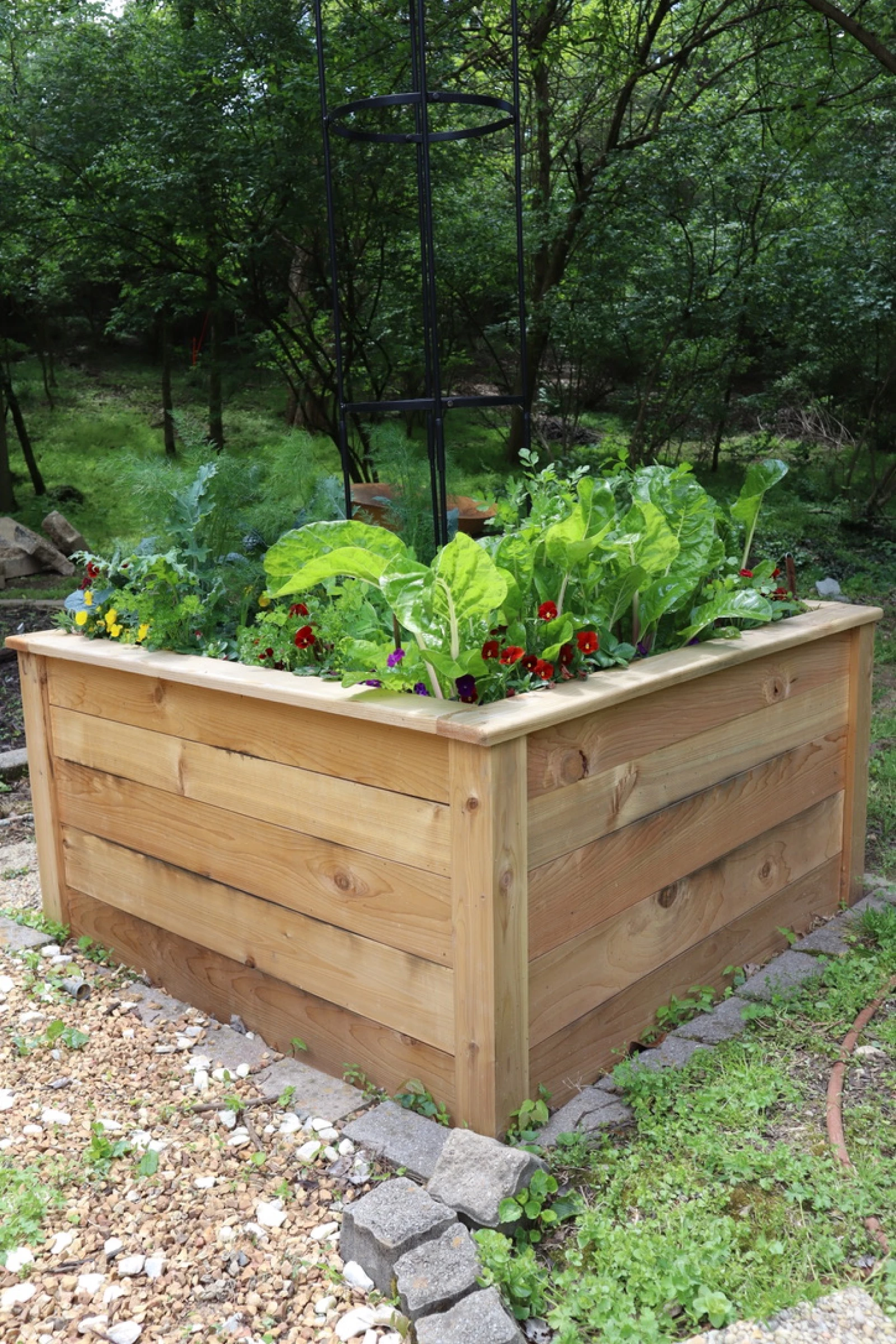 cedar raised bed