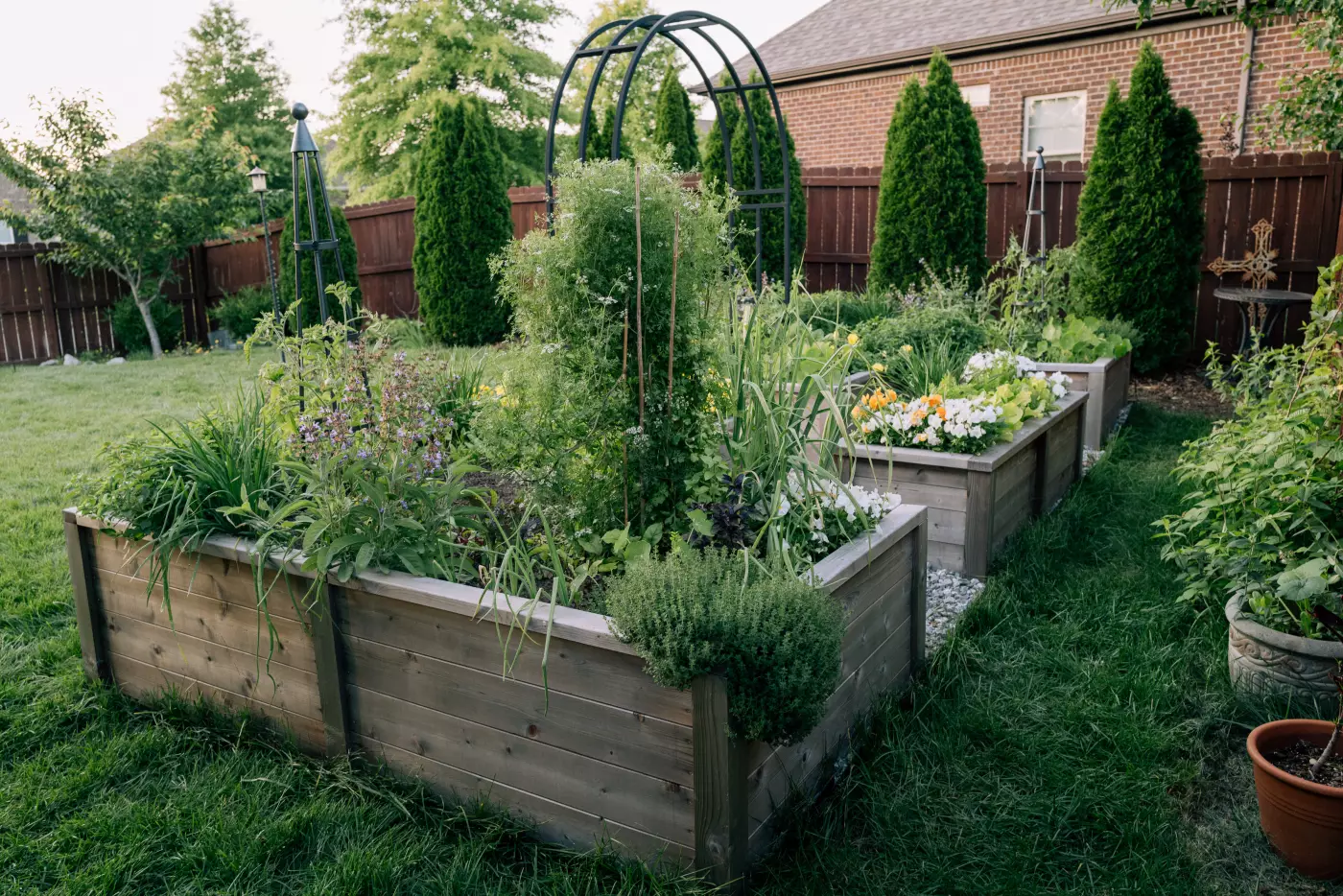 A photo of a multi bed kitchen garden