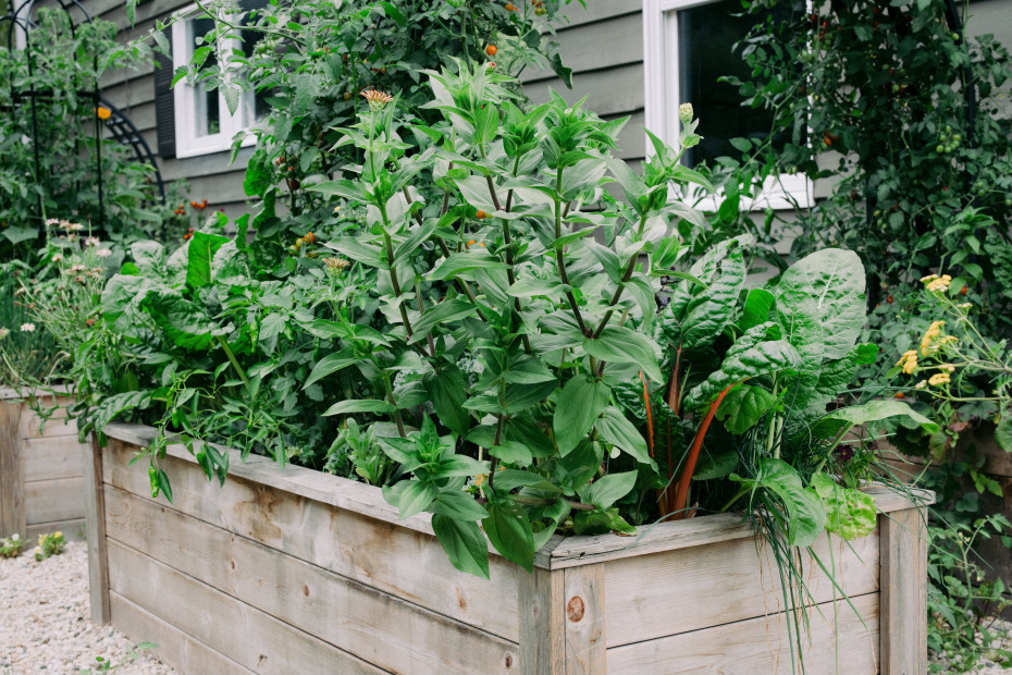 5 Questions To Ask Your Garden Consultant