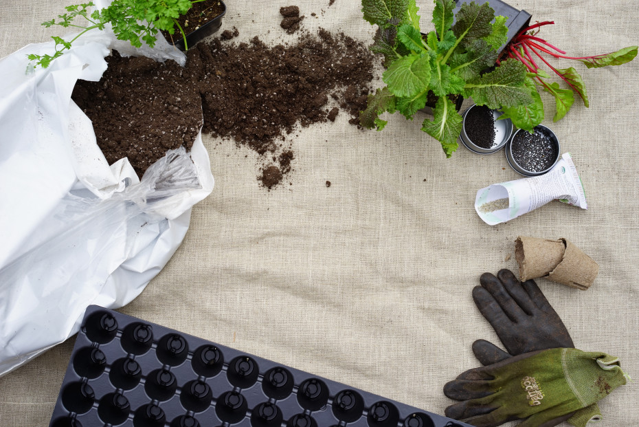 salad school online salad garden course