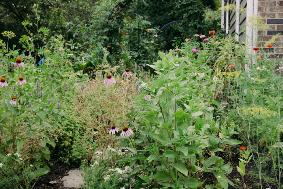5 Questions To Ask Your Garden Consultant