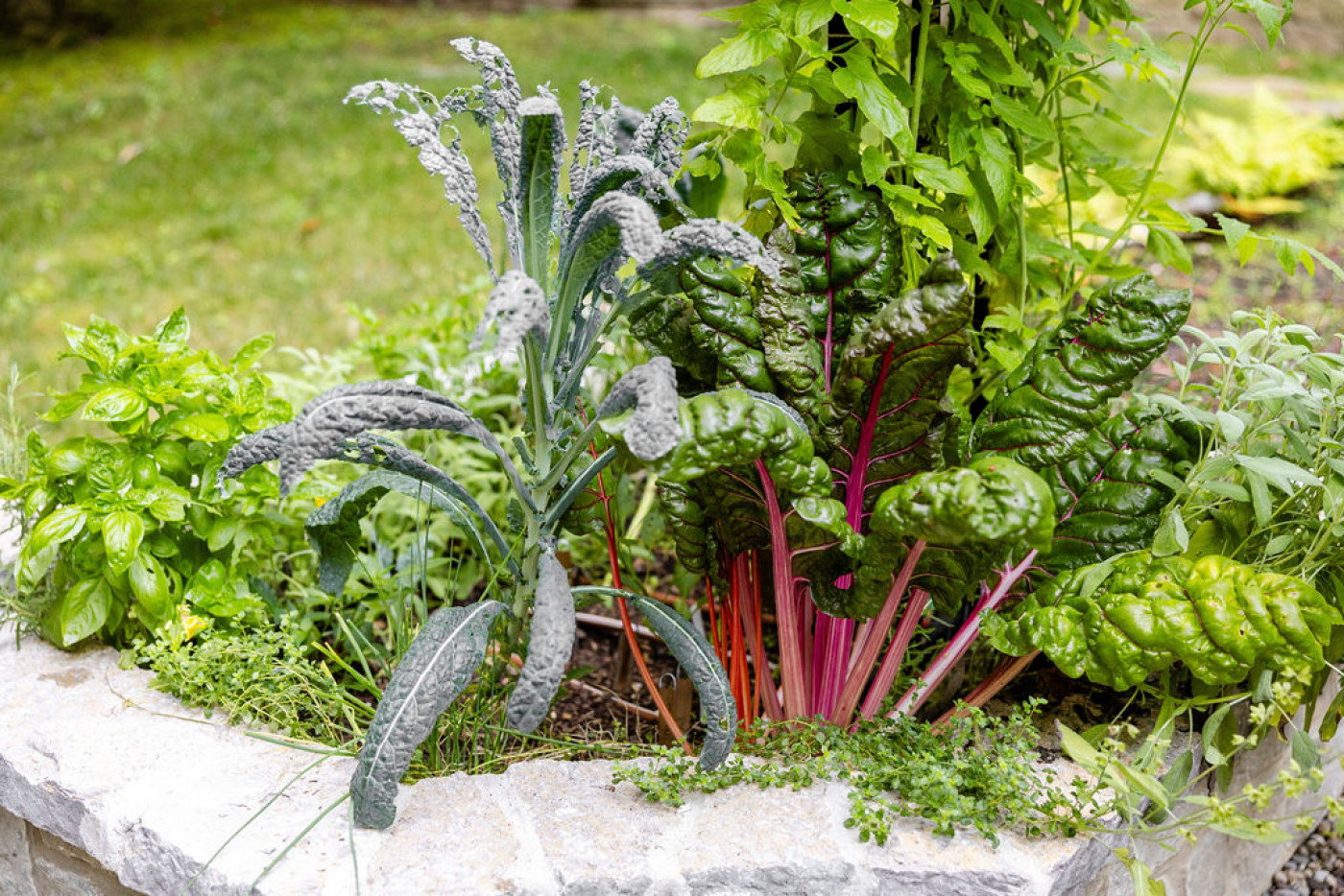 fall plants ideas