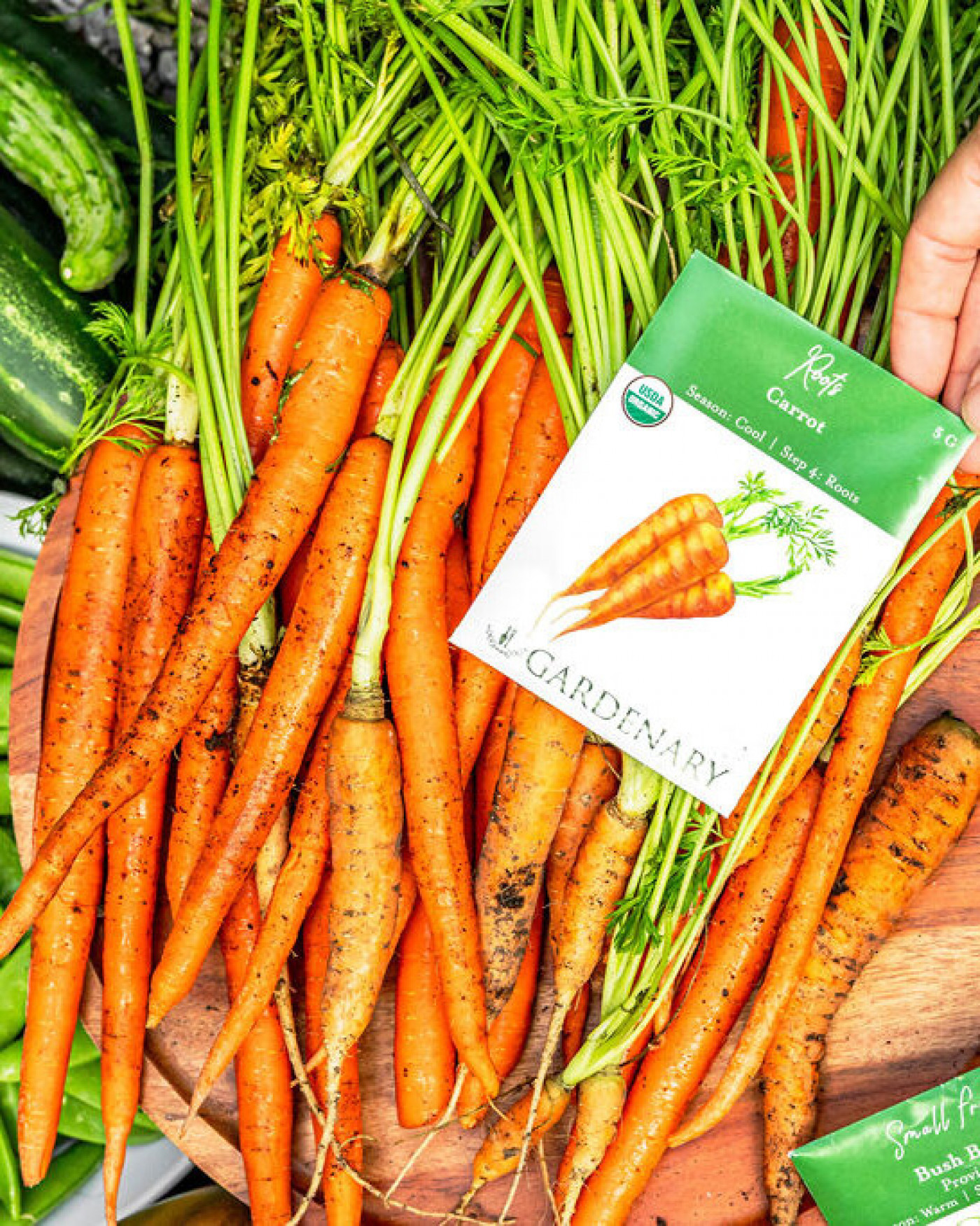 Fresh organic carrots spread on a wooden surface with a Gardenary carrot seed packet placed on top.