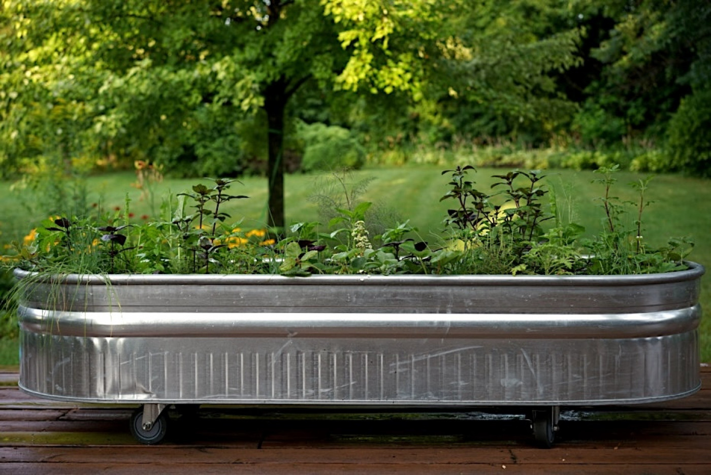 raised garden bed on wheels