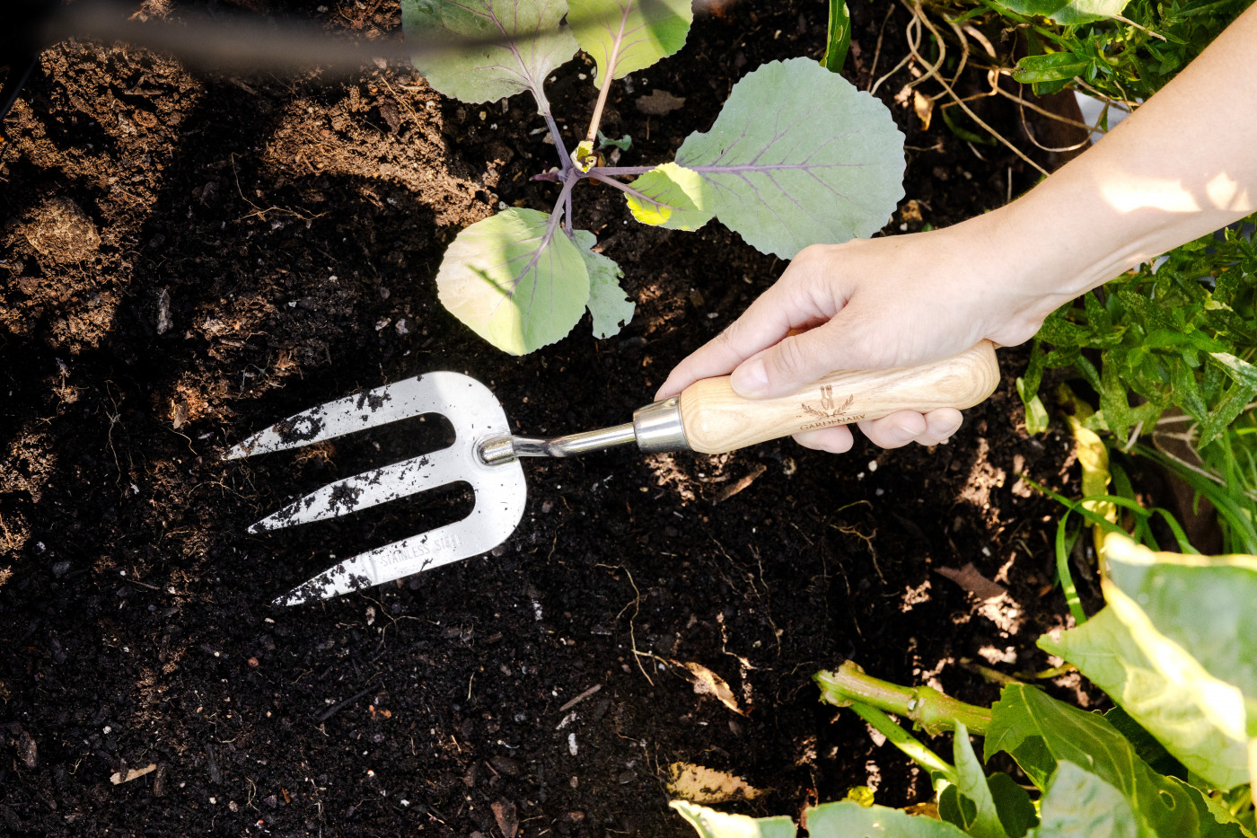 A small garden rake in soil