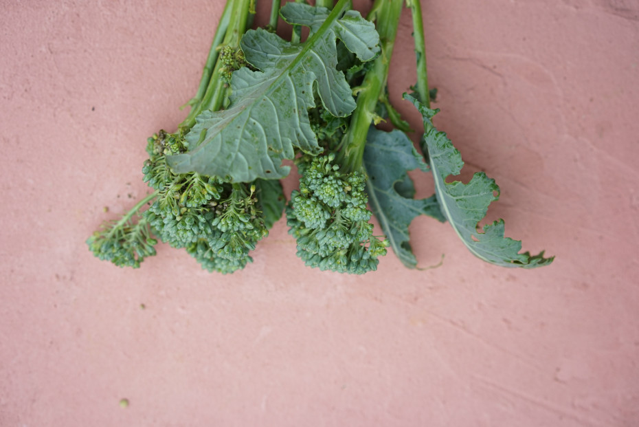 How to Grow Broccoli in an Organic Kitchen Garden • Gardenary
