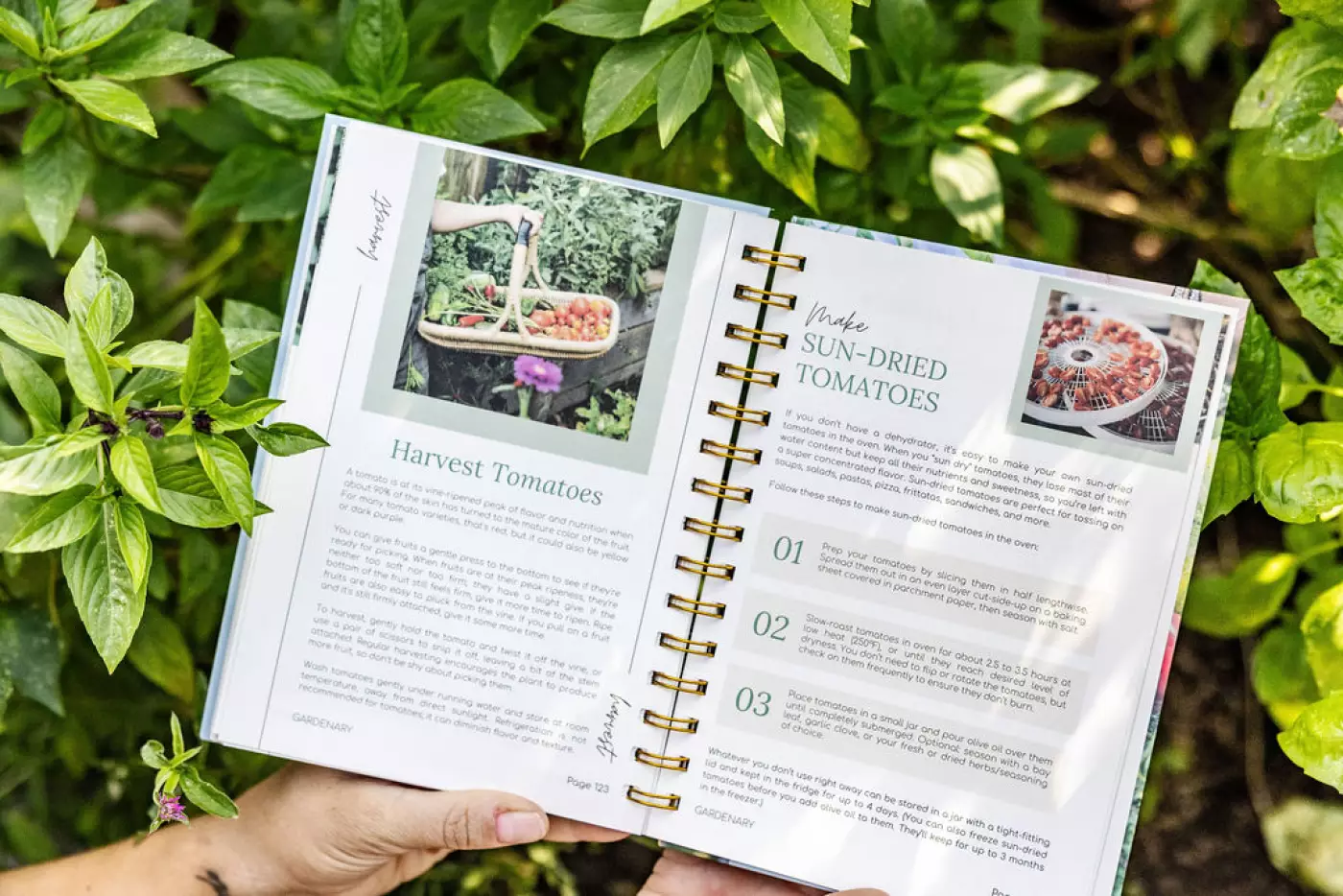 A Gardenary gardening planner opened to an educational page teahing how to sun dry tomatoes and how to harvest tomatoes.