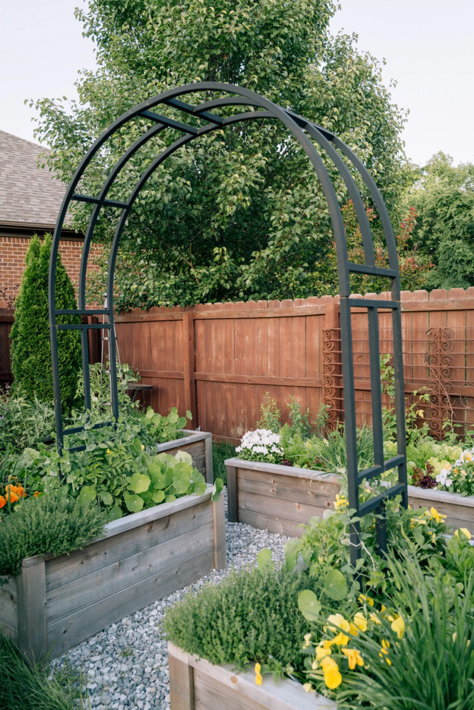 an arch trellis in a raised bed garden