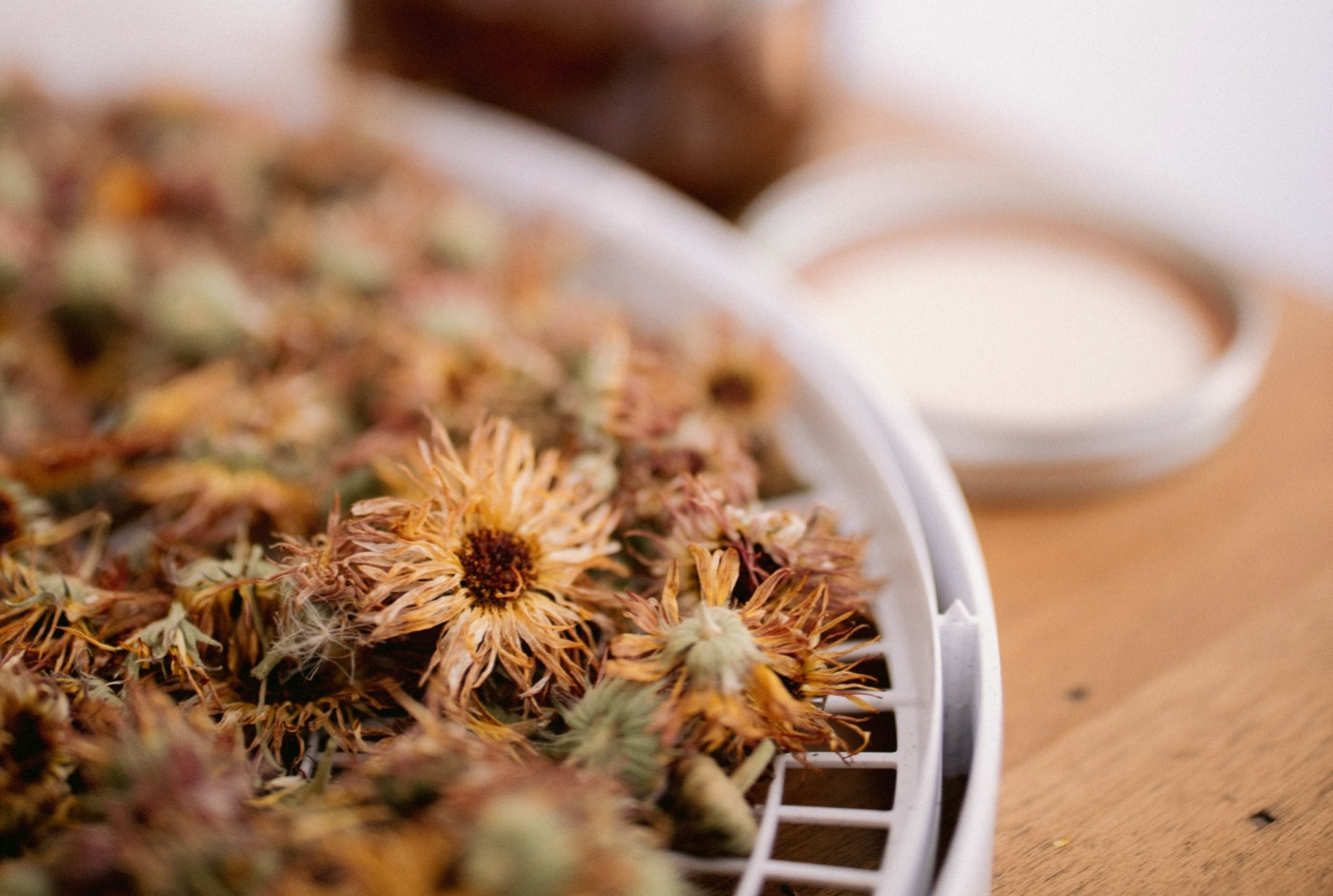 calendula benefits