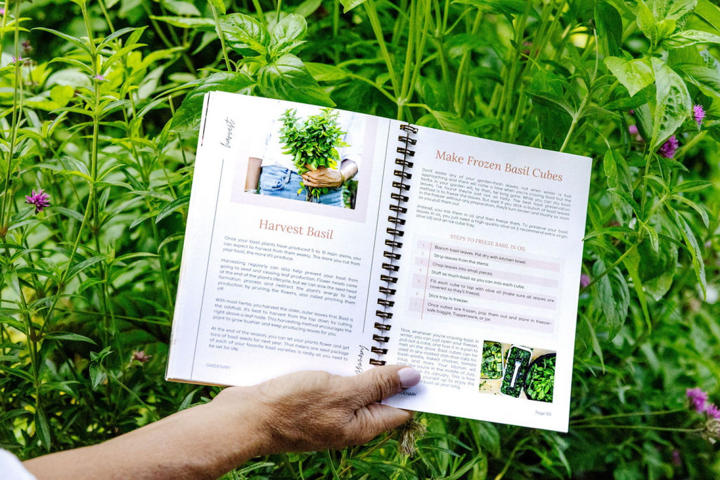 garden planner held in front of garden plants