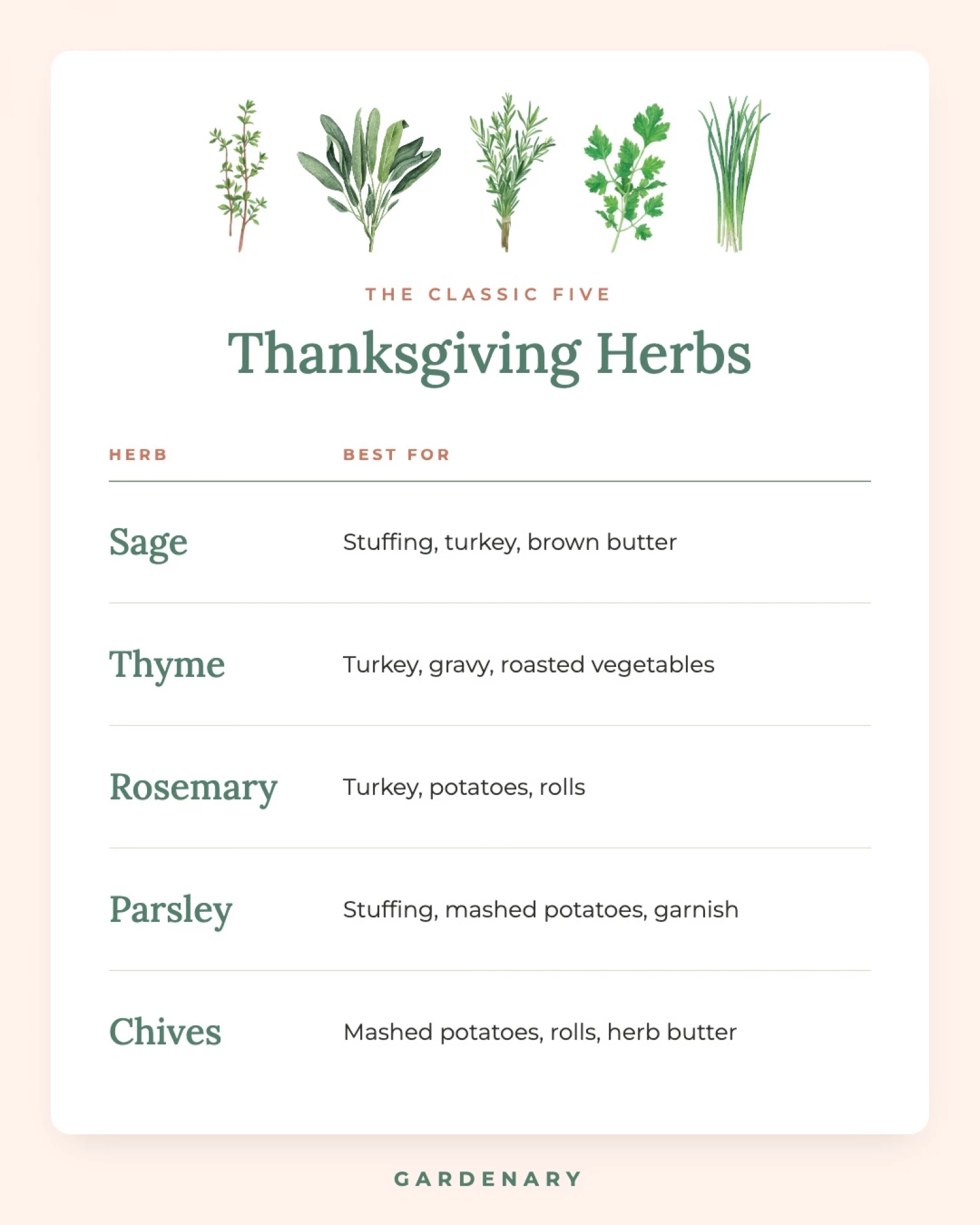 5 classic herbs infographic