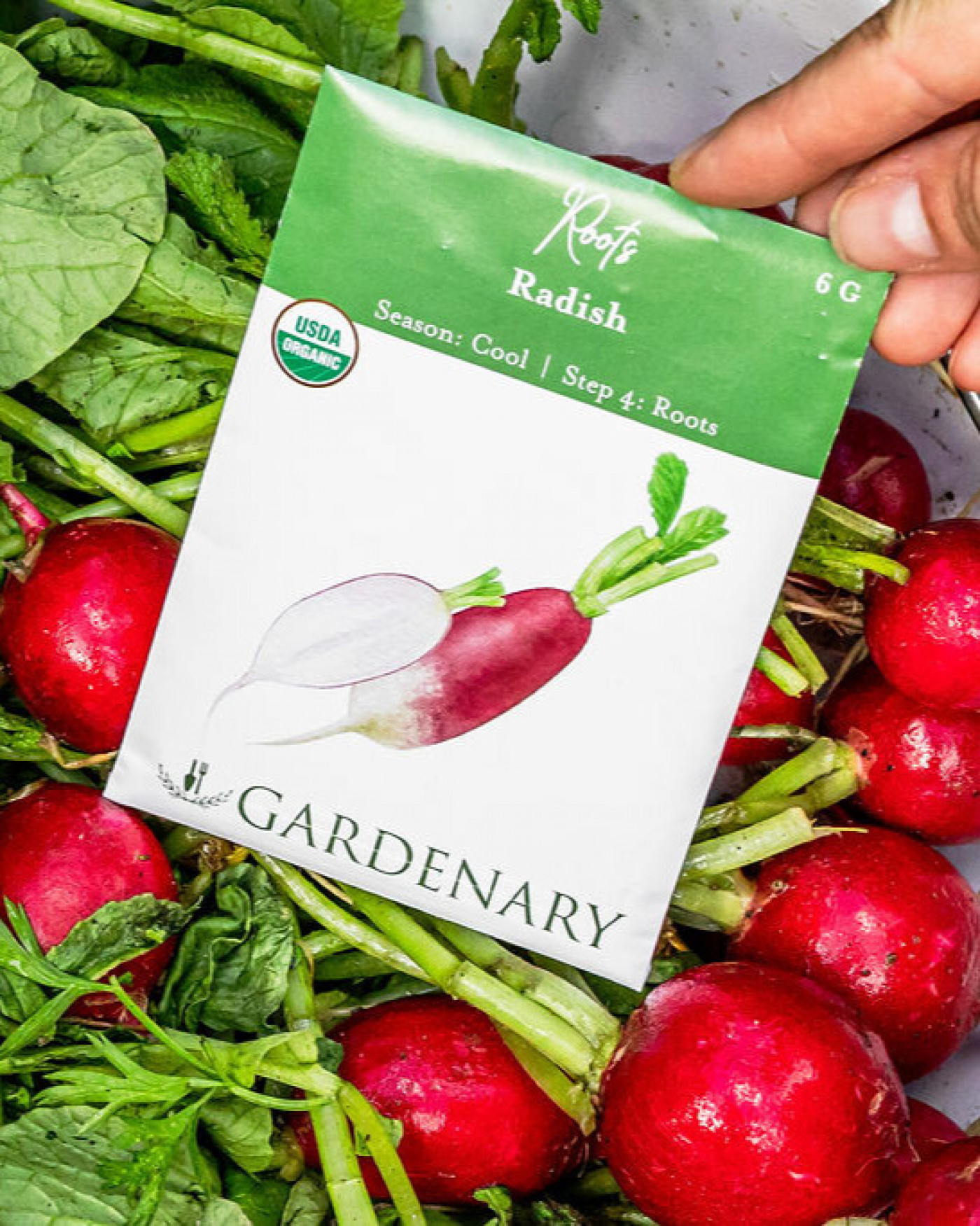 Freshly harvested red radishes displayed with a Gardenary organic radish seed packet.