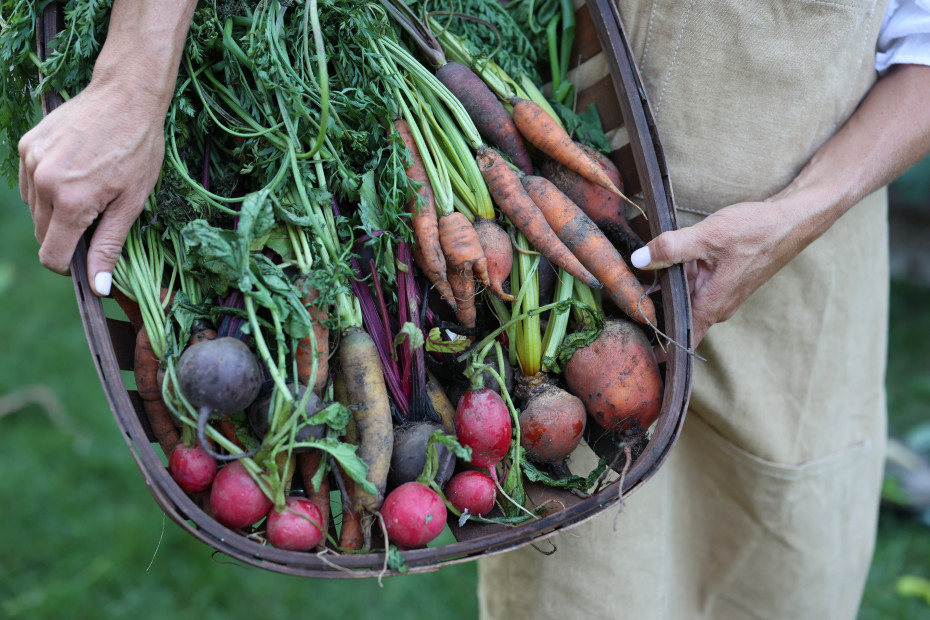 help the environment