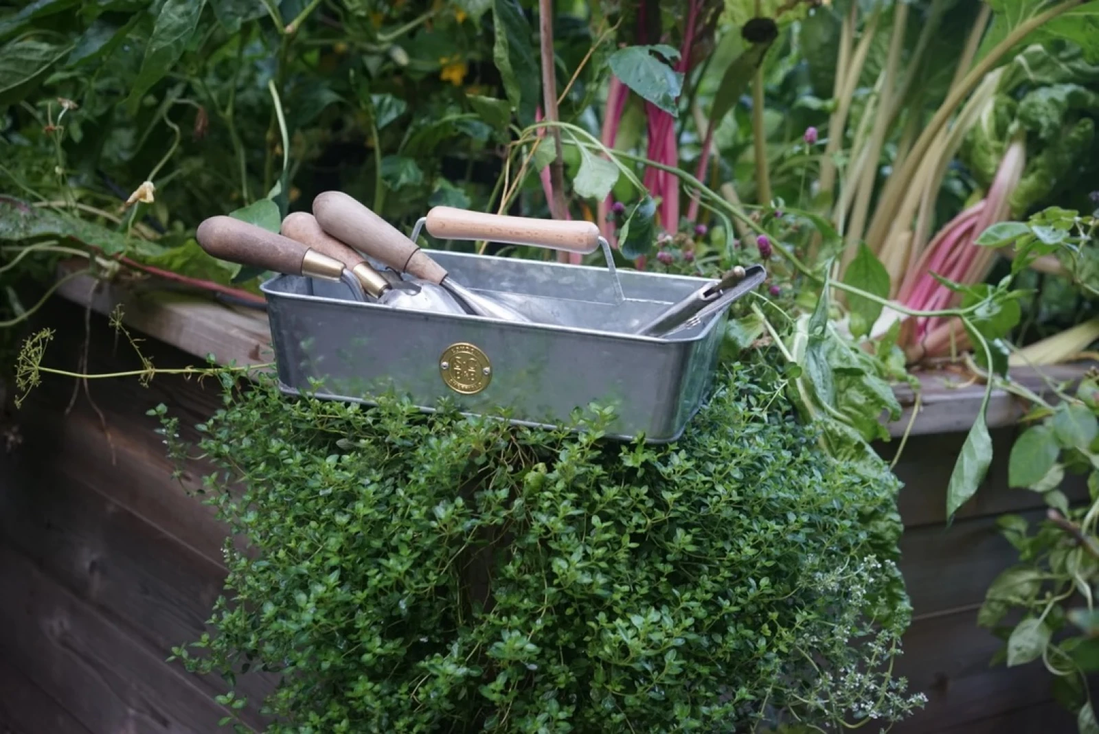 photo of the galvanized garden trug