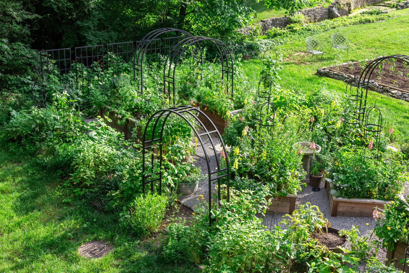 living fence of plants surrounding lush raised bed kitchen garden