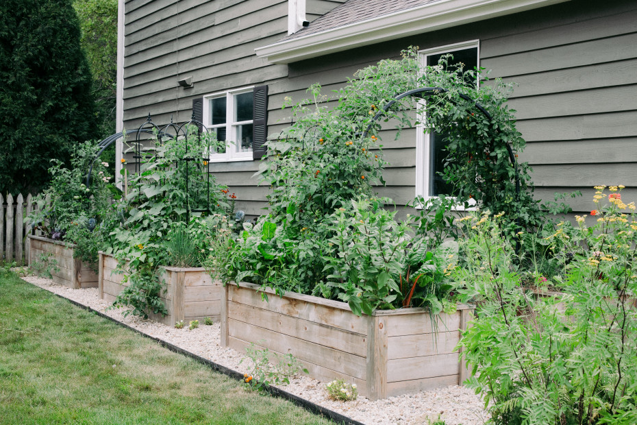 5 Questions To Ask Your Garden Consultant