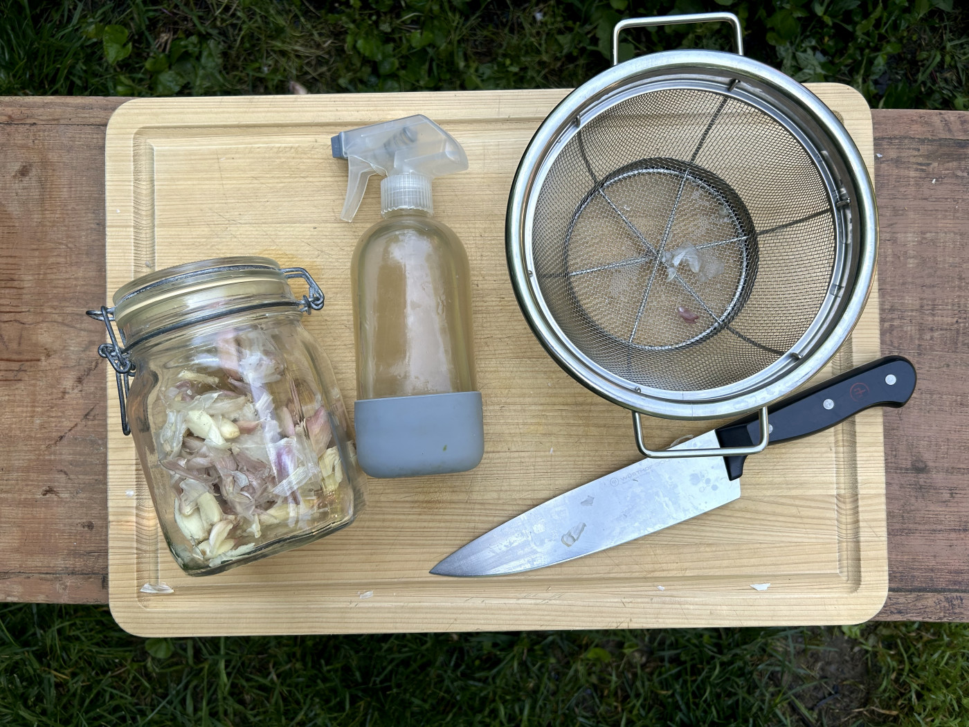 garlic pest spray recipe