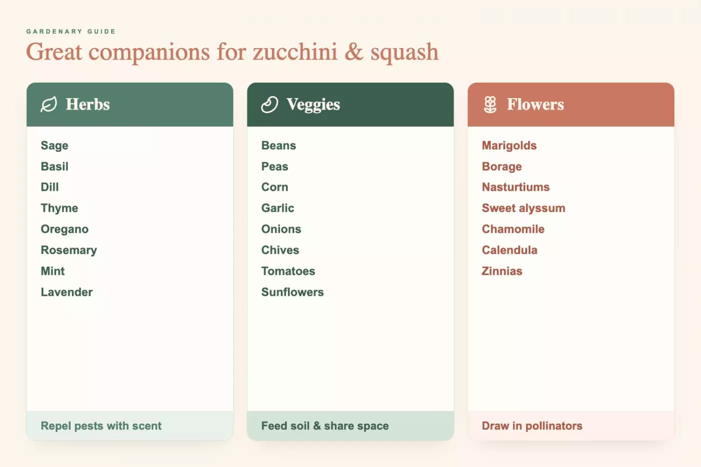 inforgraphic charts showing best companion plants for squash and zucchini divided into categories: herbs, veggies, flowers