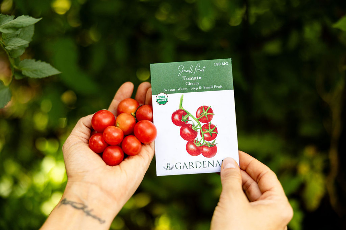 Sweet Million Tomatoes