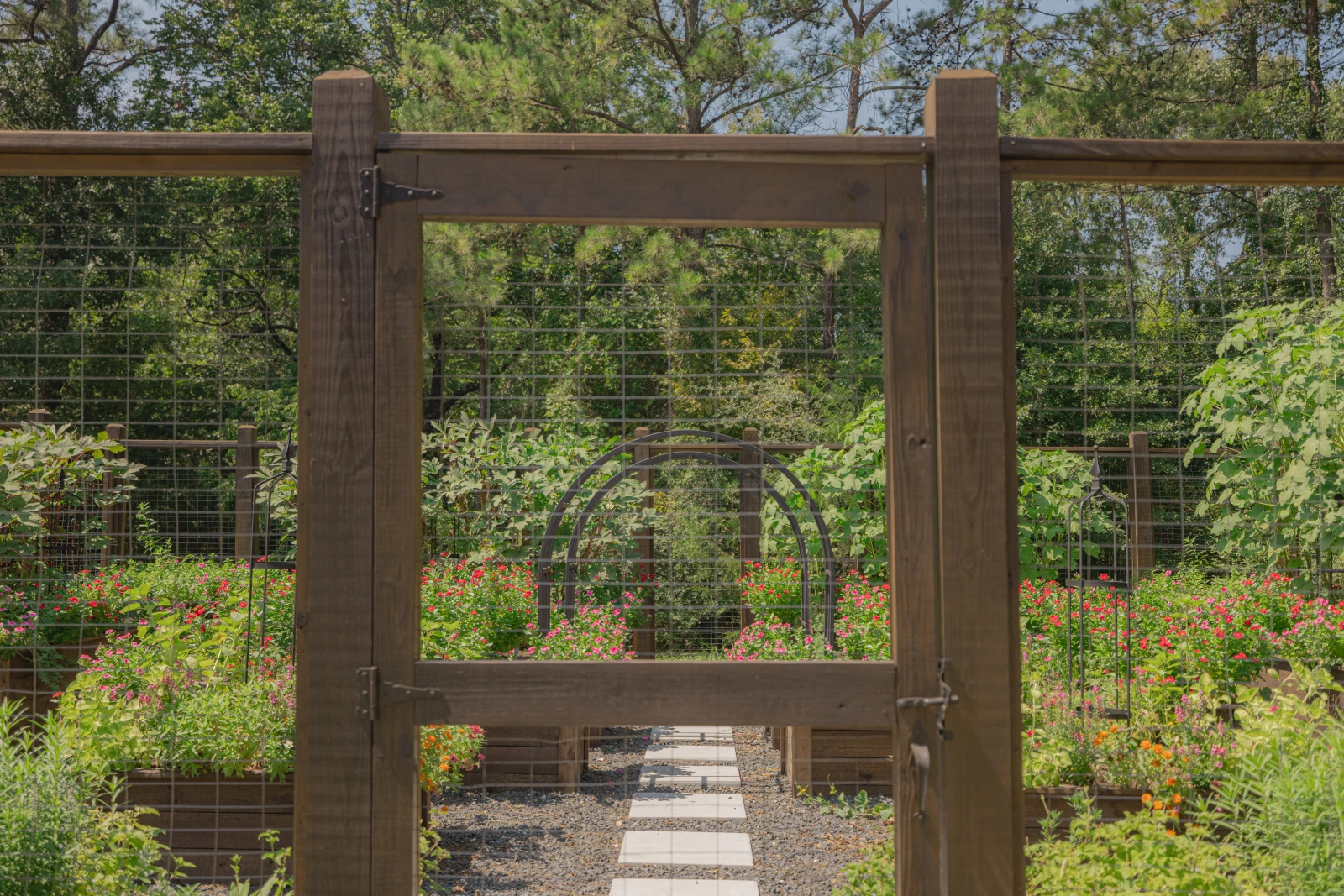A garden inside a tall fence