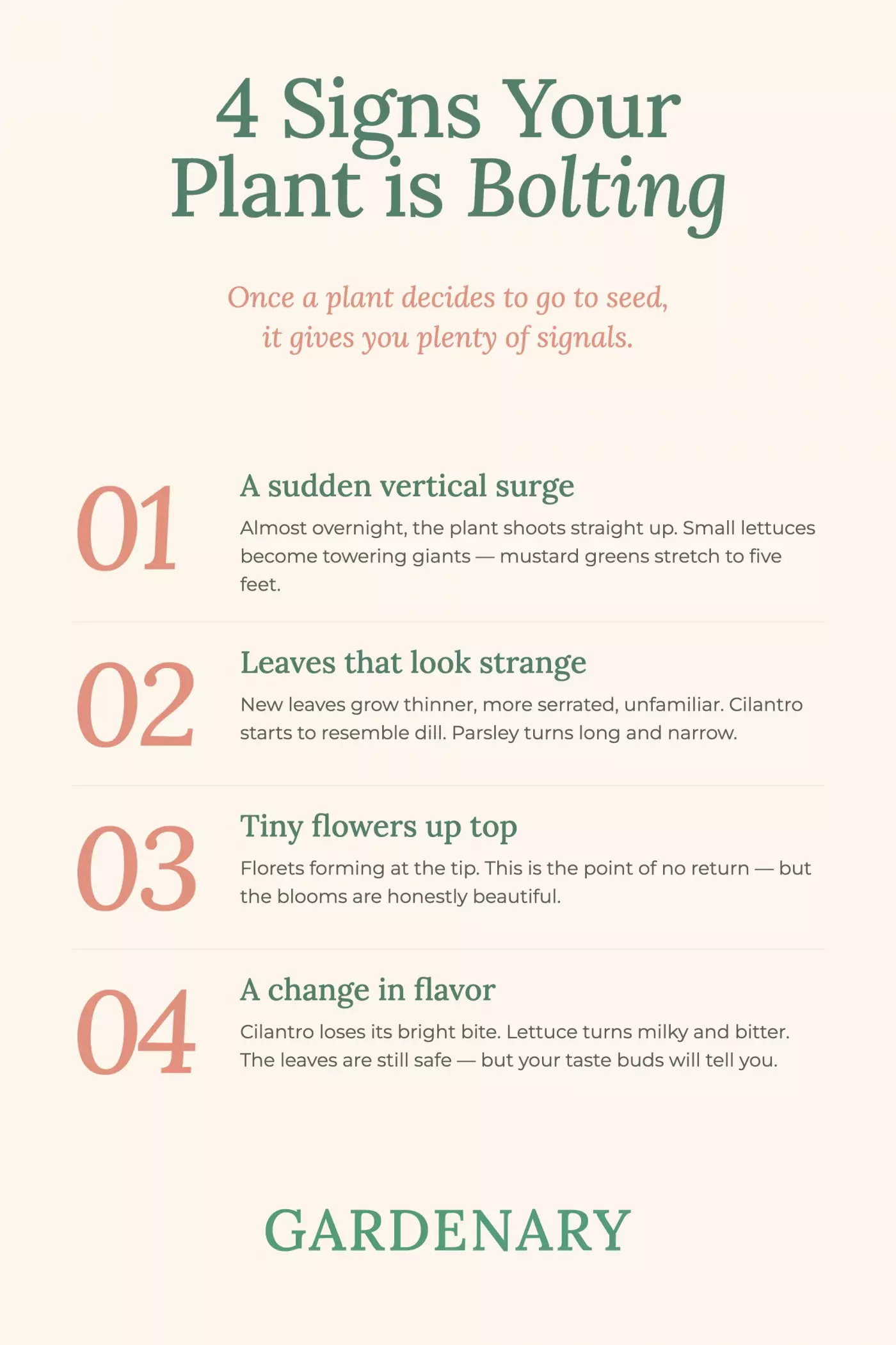 Gardenary infographic titled 4 Signs Your Plant Is Bolting, listing: a sudden vertical surge where small lettuces become towering giants, leaves that look strange as cilantro starts to resemble dill and parsley turns long and narrow, tiny flowers forming at the top signaling the point of no return, and a change in flavor as cilantro loses its bright bite and lettuce turns milky and bitter.