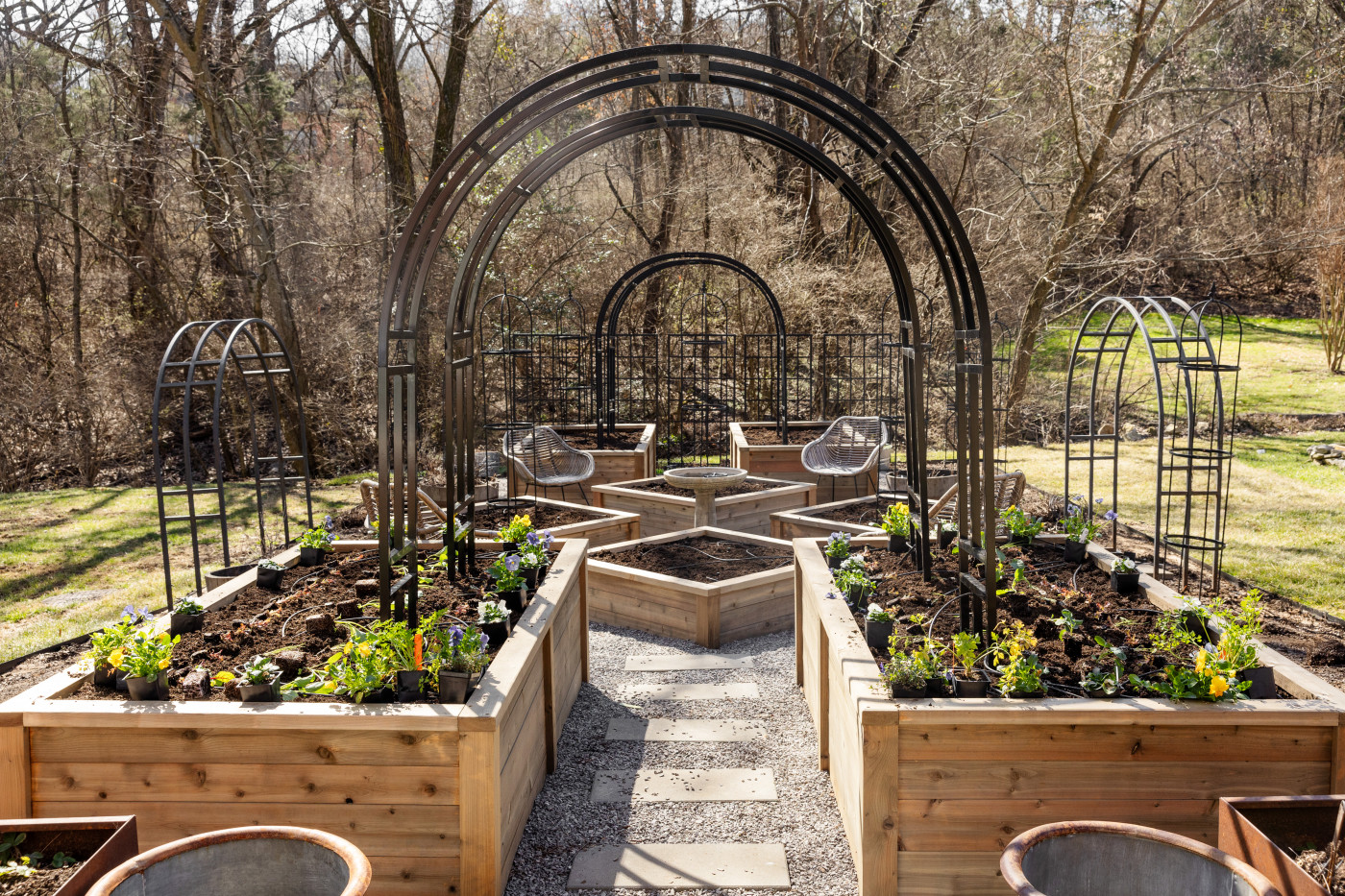 raised beds ready for planting
