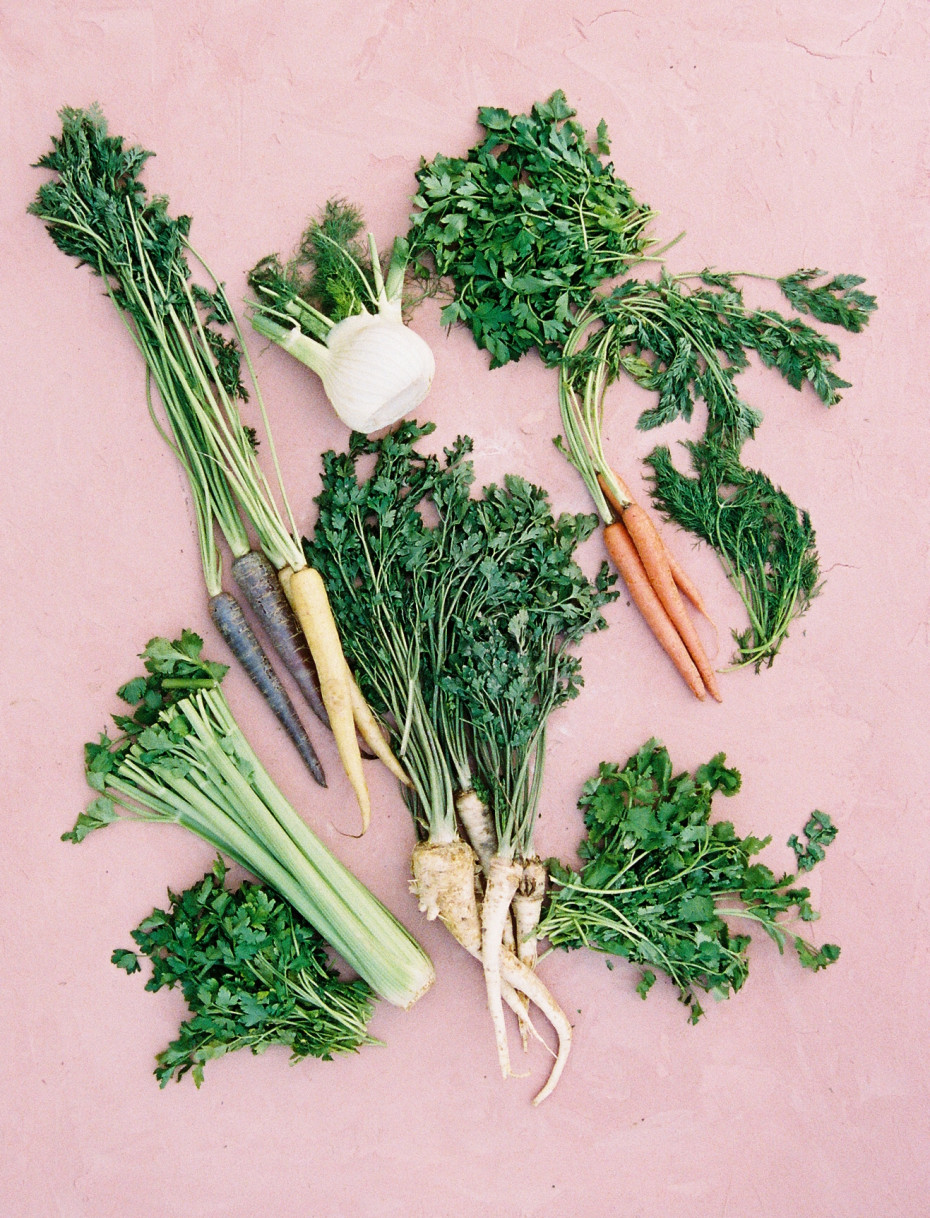 How to Grow Organic Dill in Your Herb Garden • Gardenary