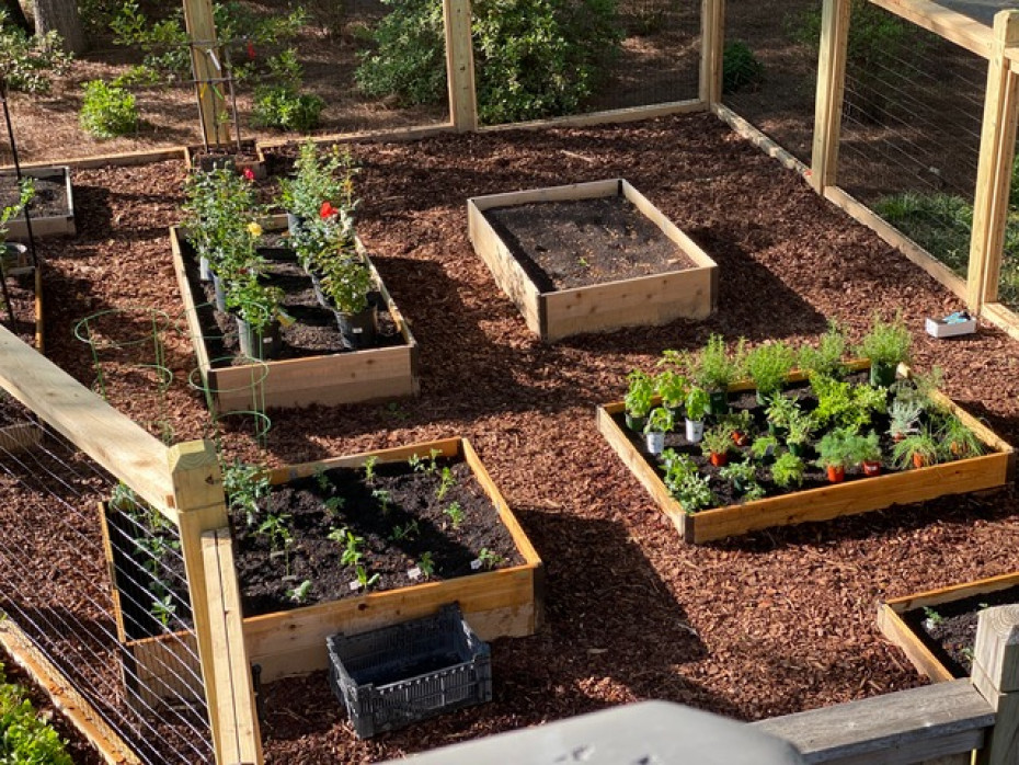 garden designed by Cathleen Smith