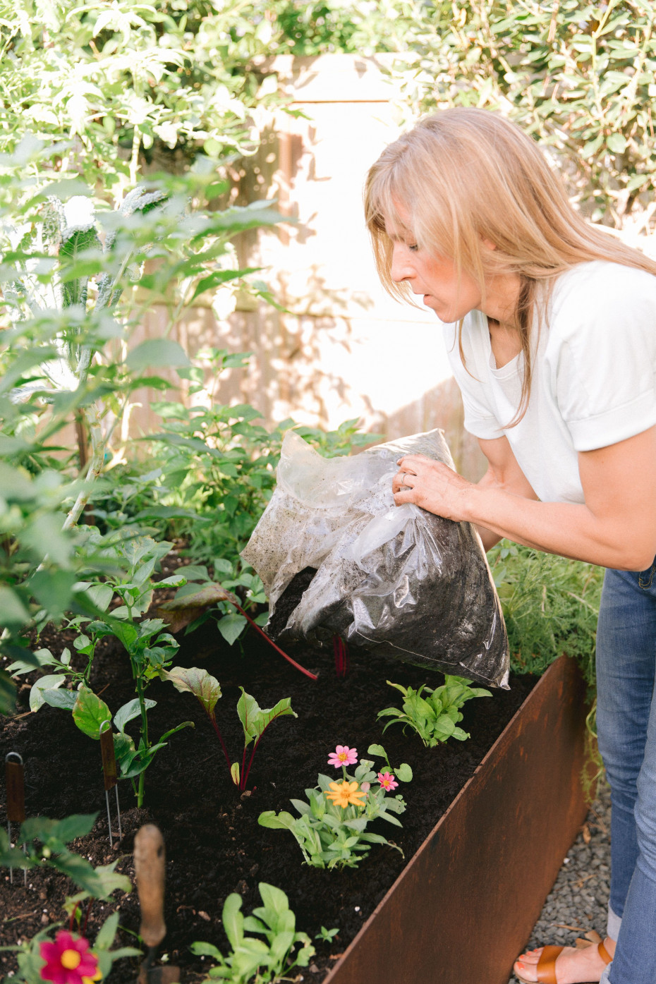 5 Questions To Ask Your Garden Consultant