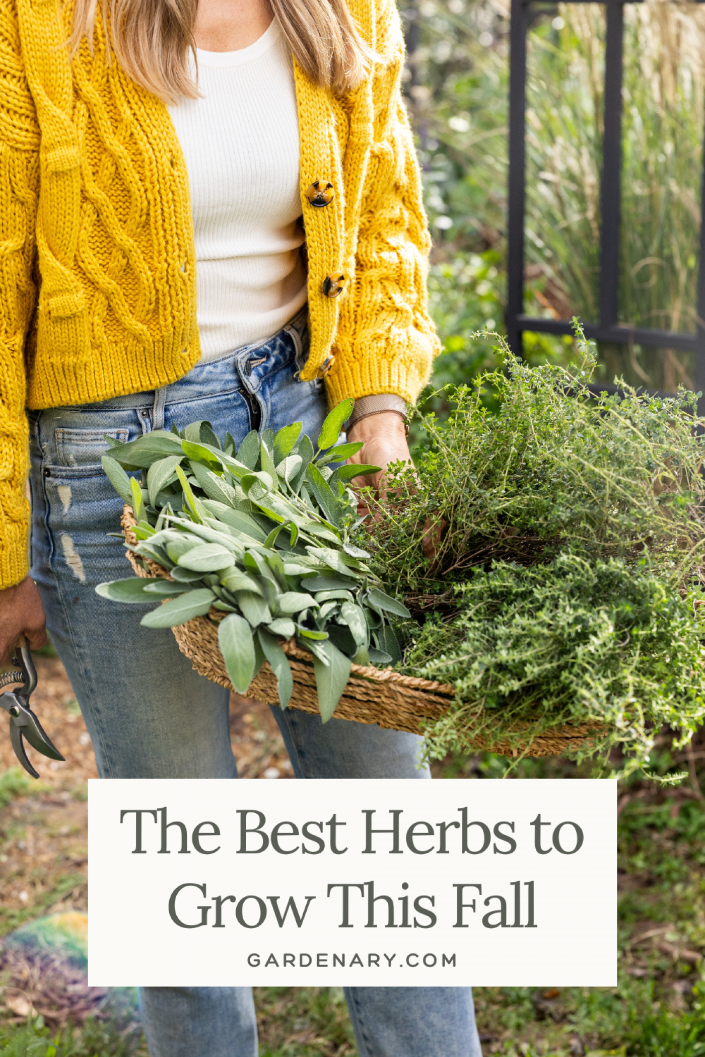 The Top 10 Herbs to Grow This Fall pin