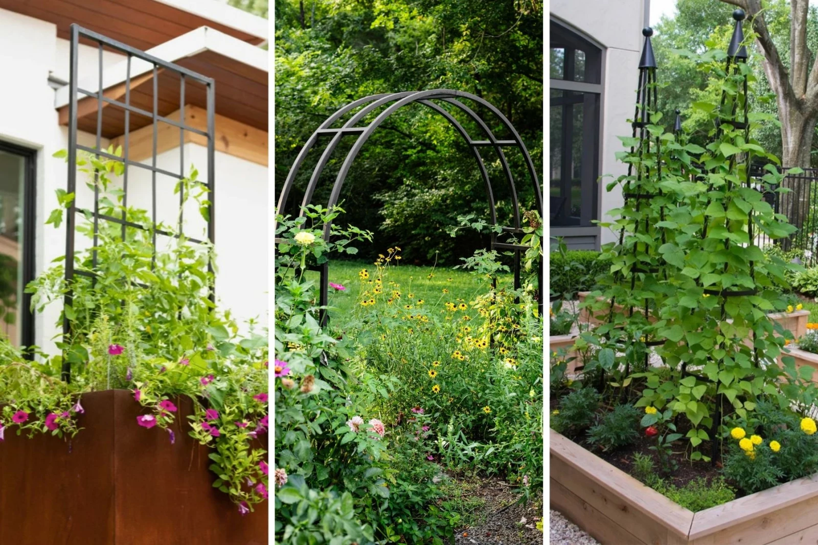 trellises