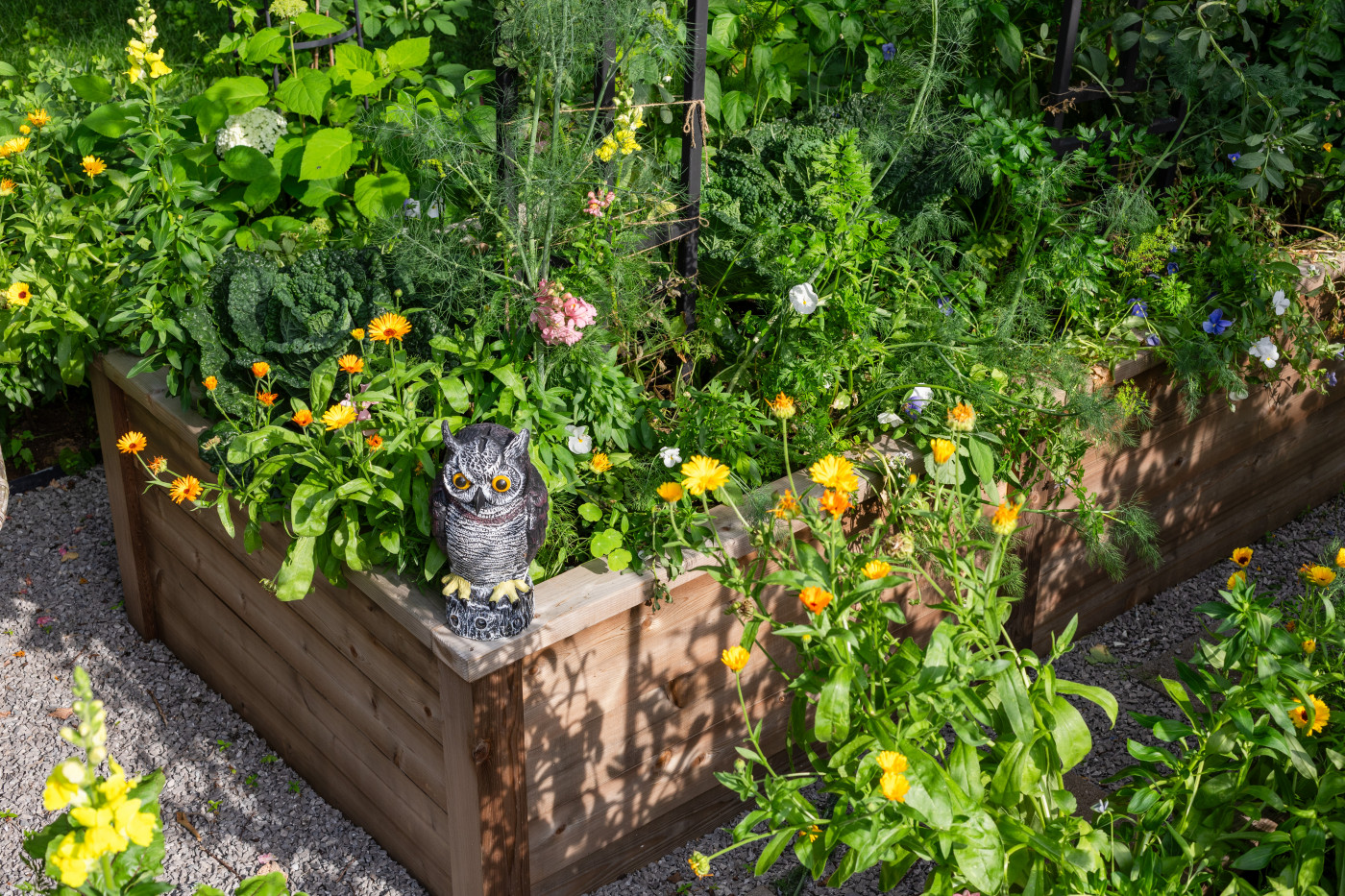 organic gardens do not rely on pesticides