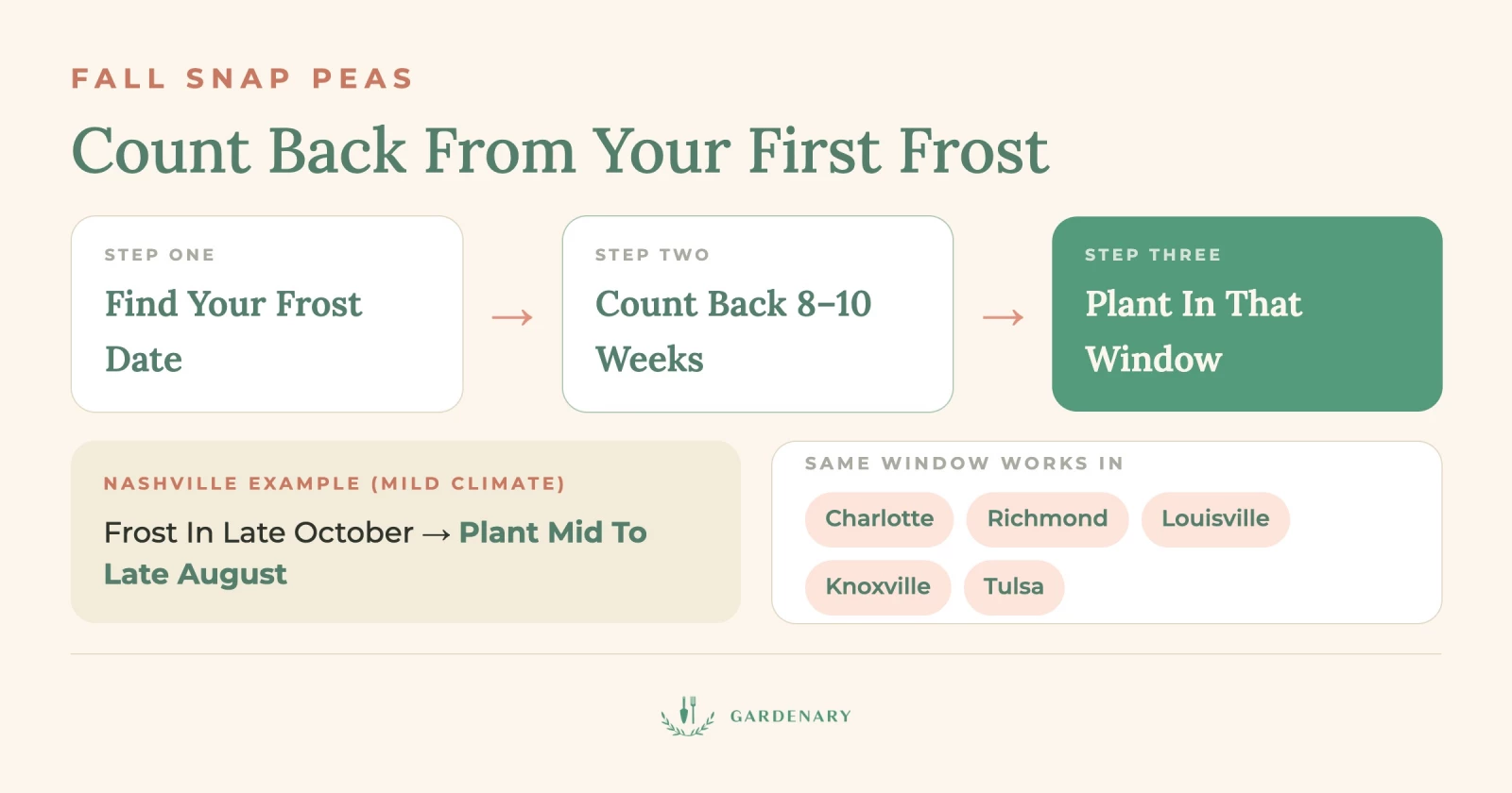 infographic about when to plant snap peas