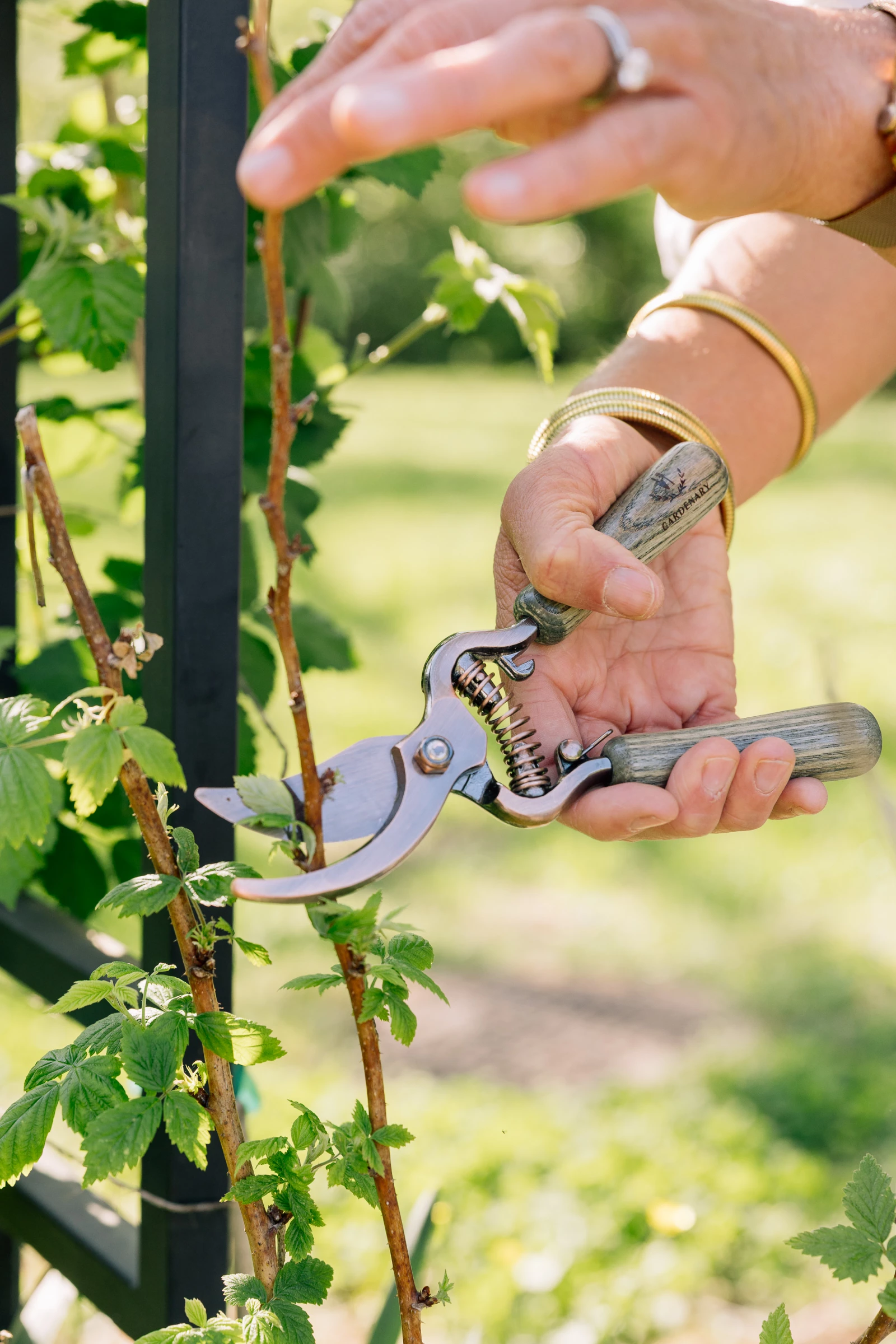 a photo of a hand using a Gardenary copper tool, the bypass pruner