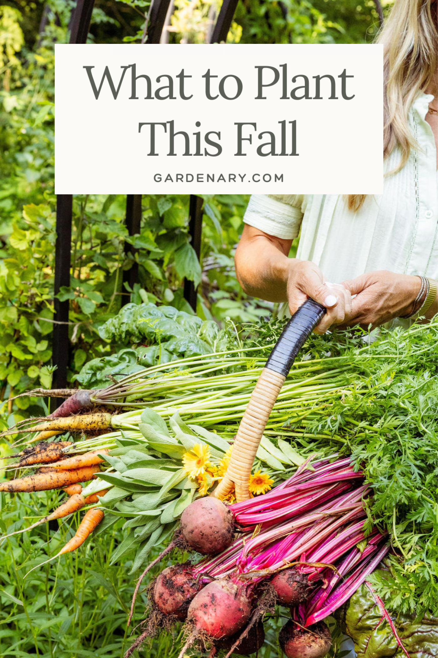 What to Plant for Fall