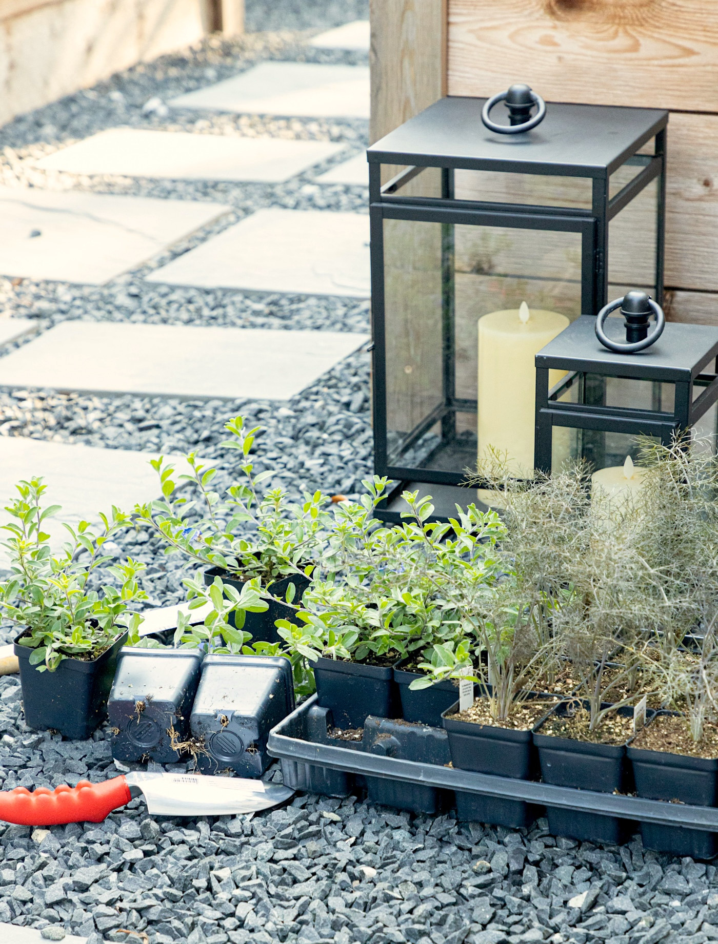 how to add plants to a bed that's already full