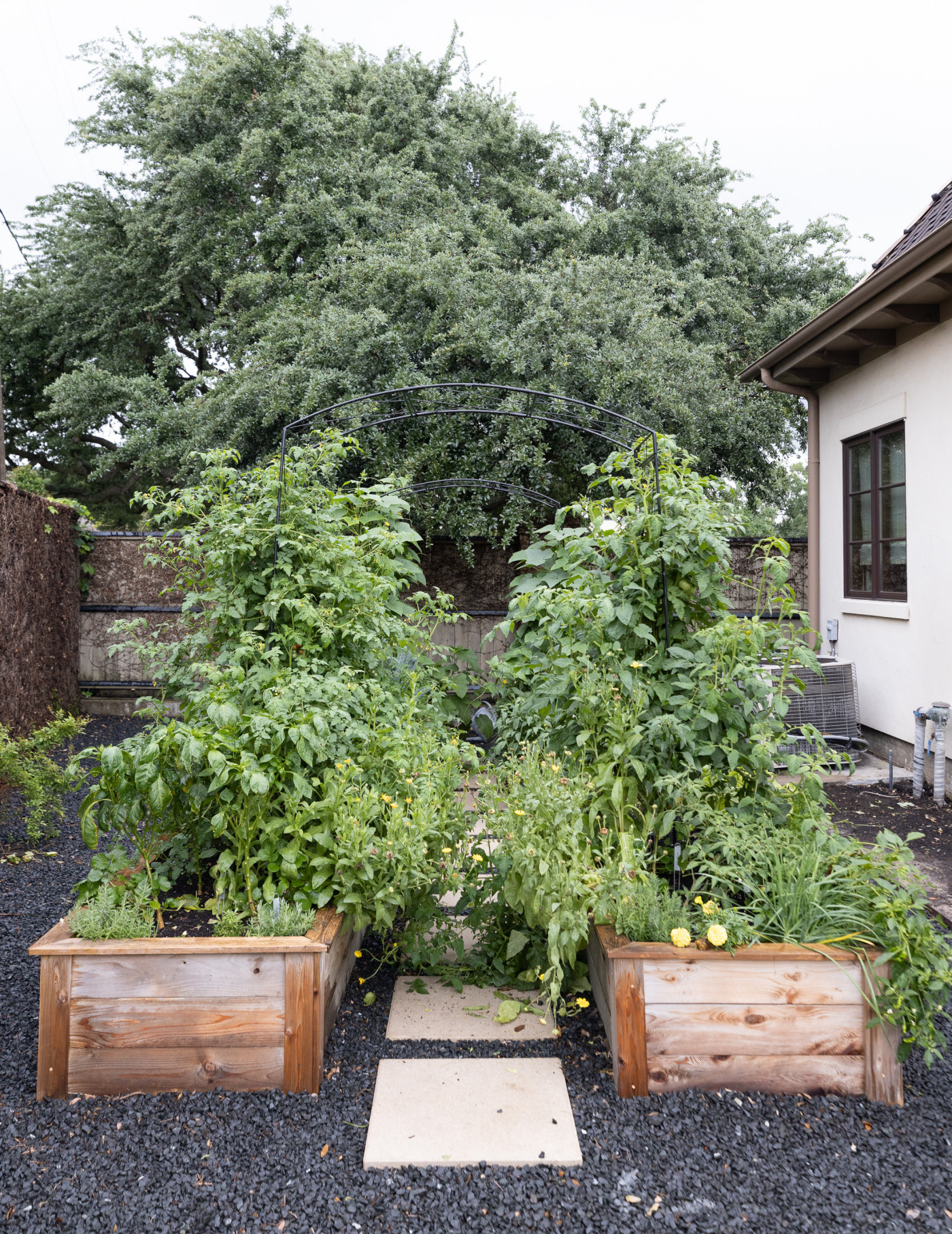 Gardenary's Paris Arch Trellis in Raised Garden Beds • Gardenary