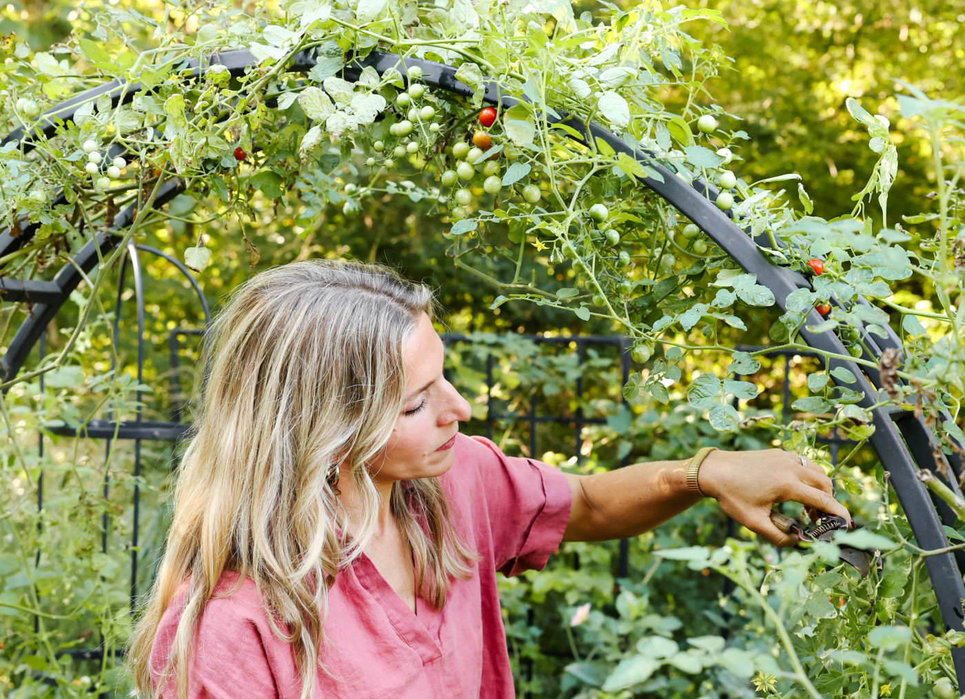 how to prune tomatoes