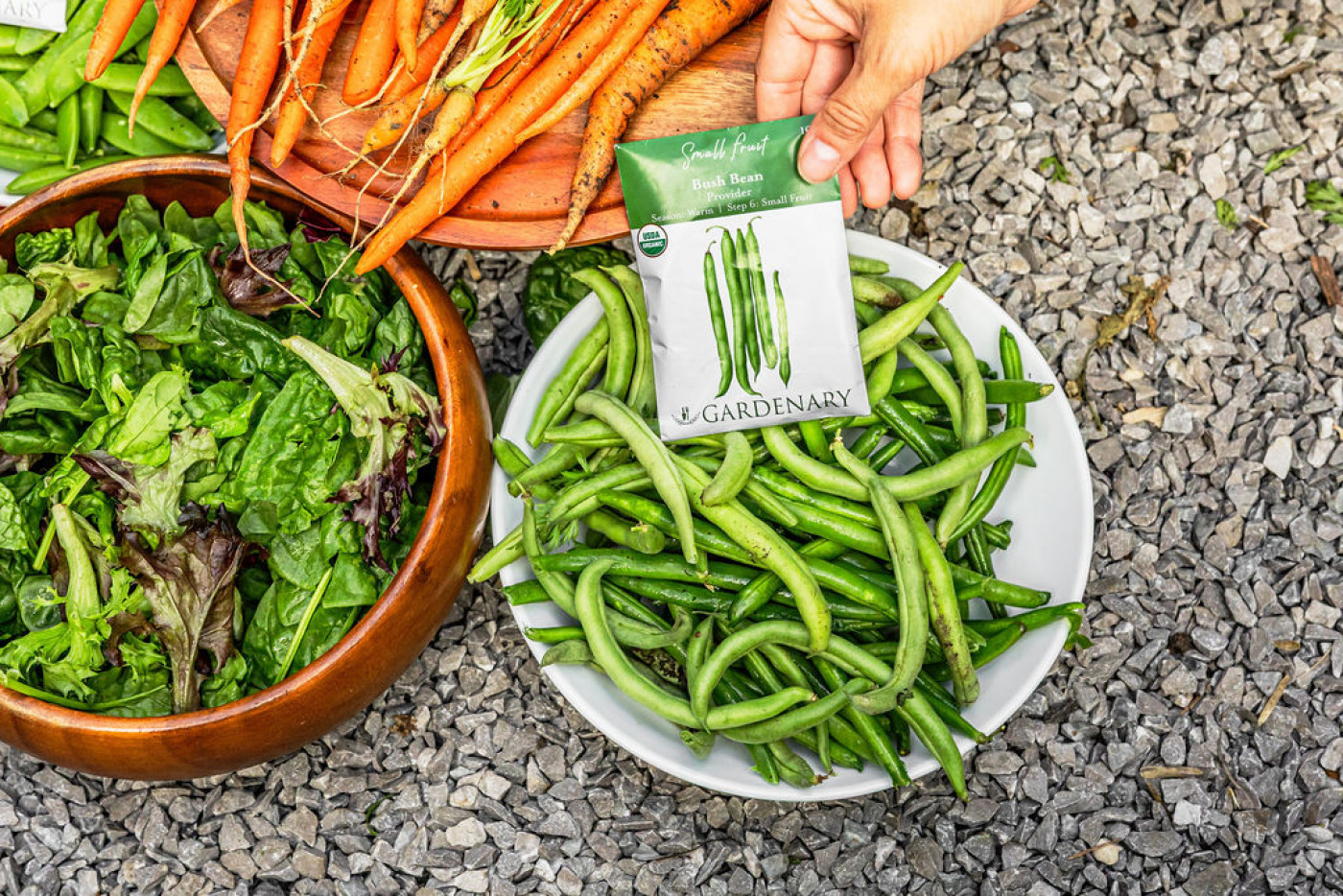 harvest bowls of bush beans, carrots, lettuce, and peas