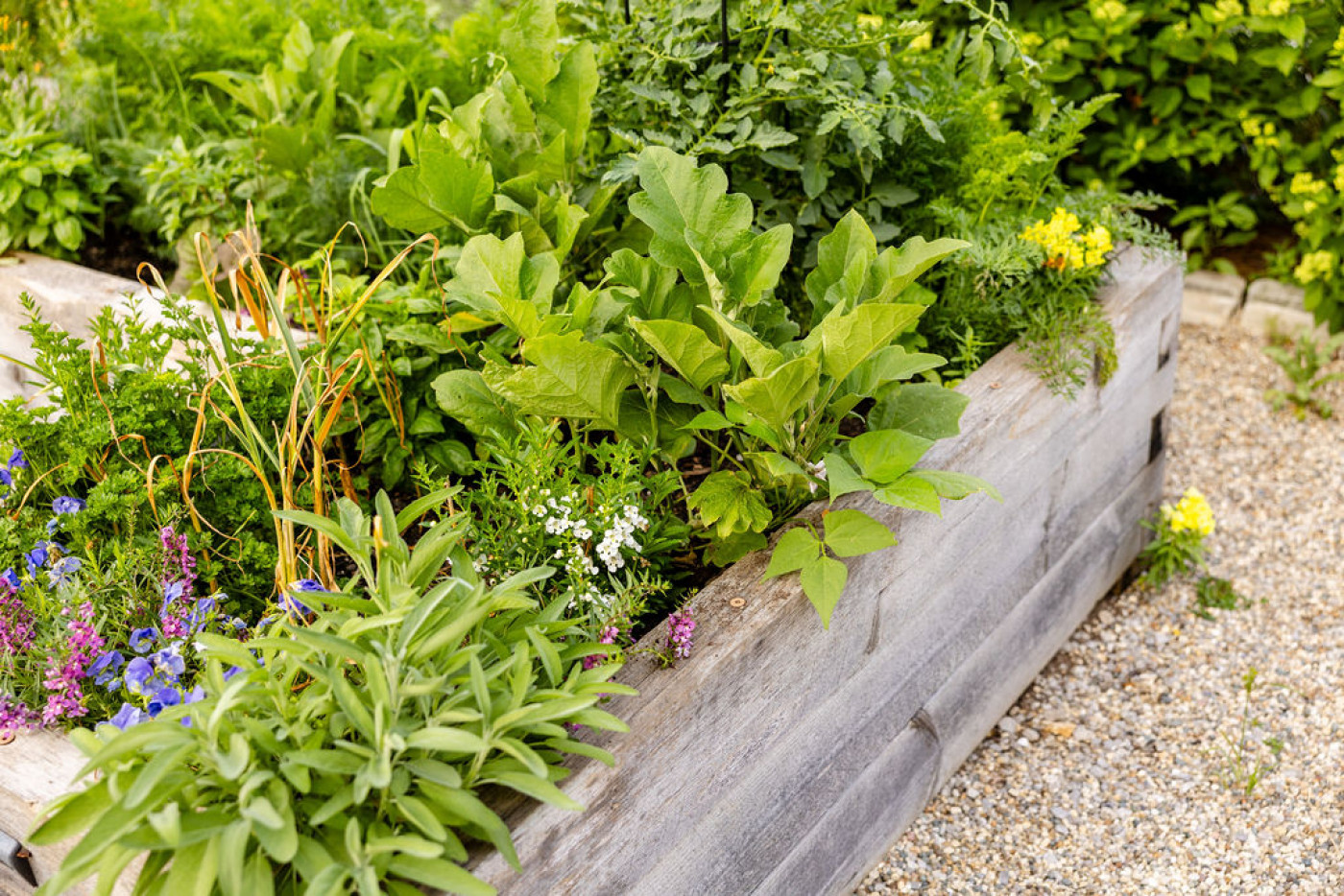 benefits of raised beds