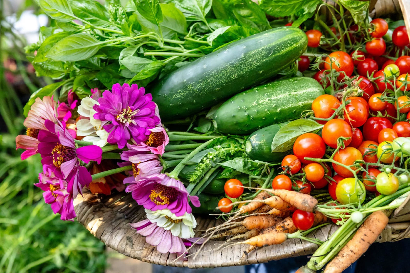 Gardening Encyclopedia