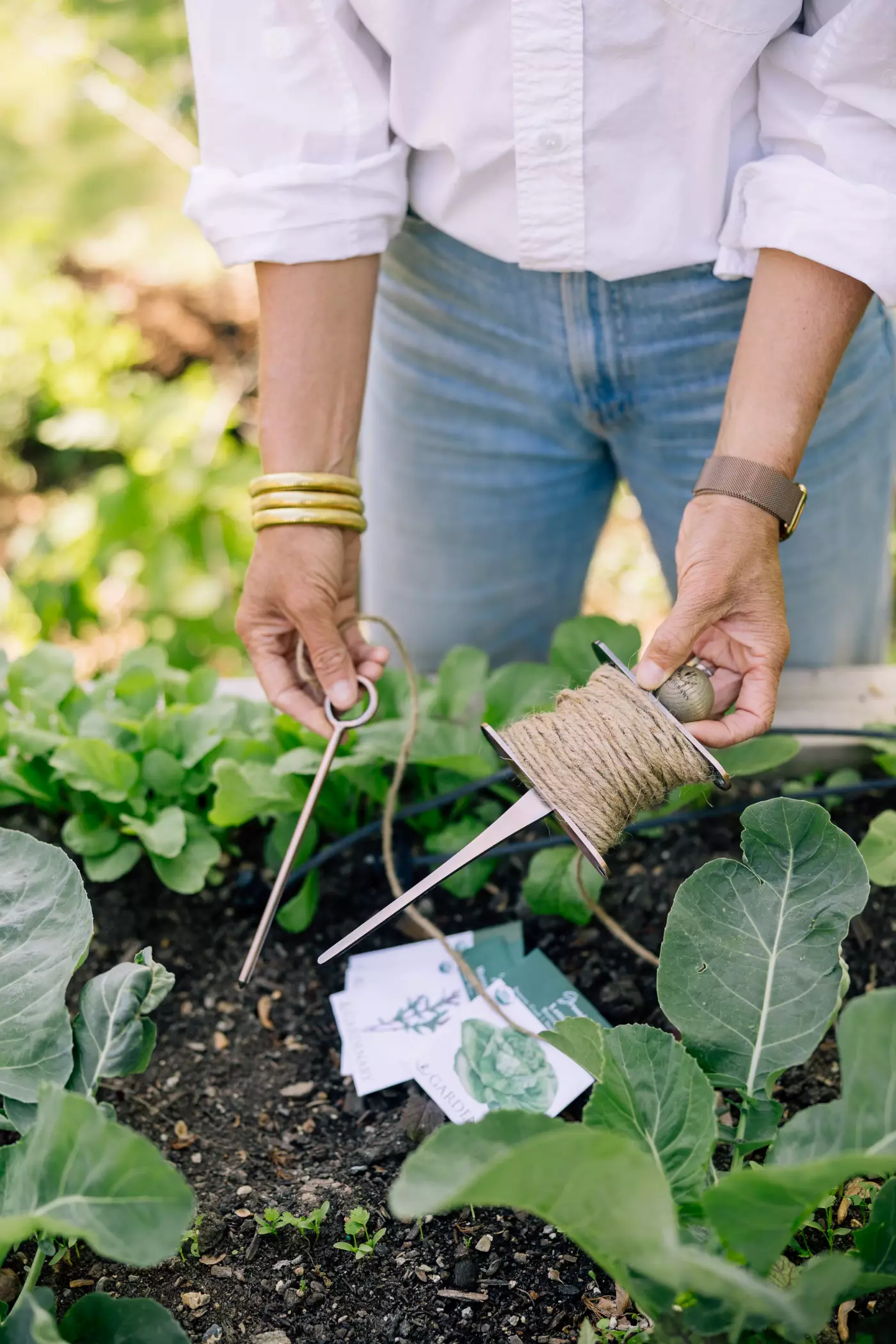 A planting line being used in the garden.