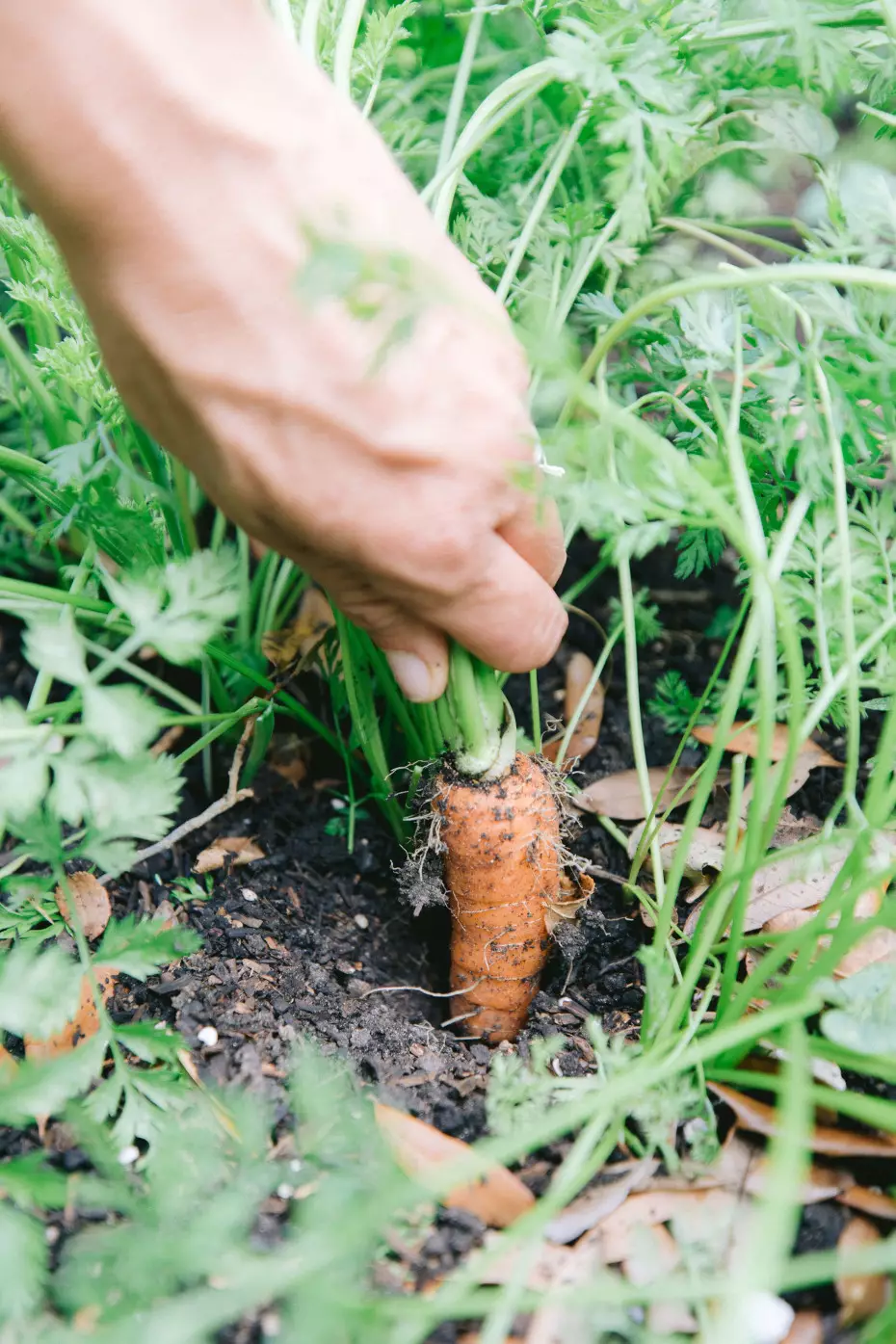 Episode 35 of the Grow Yourself Podcast: Talk Dirty to Me