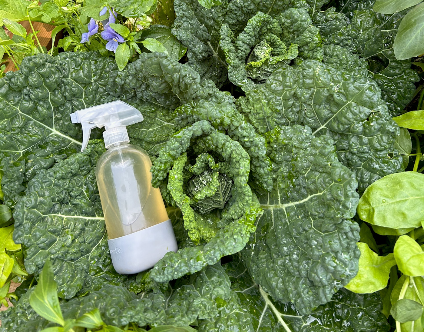 pesticides dangers