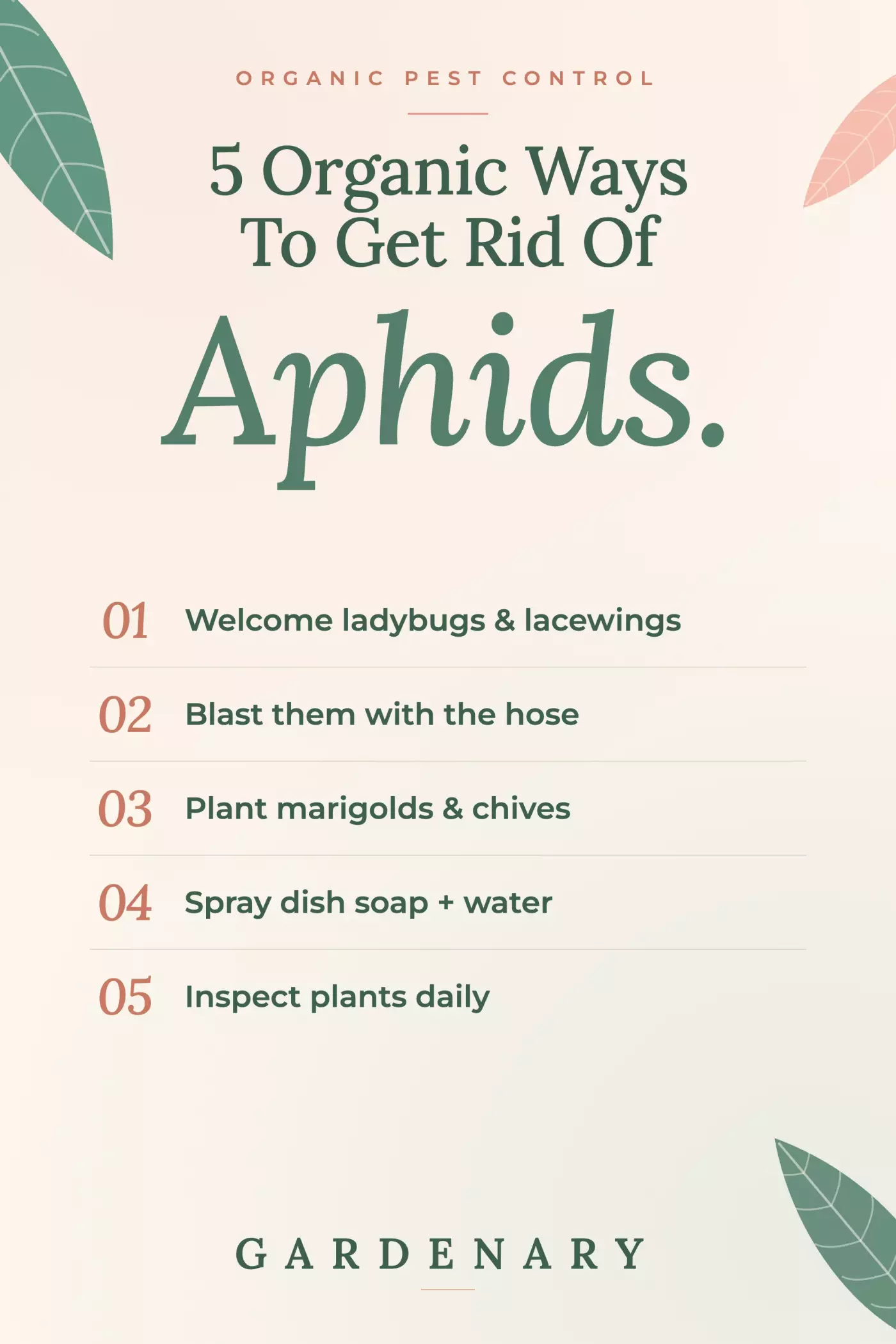 Gardenary infographic listing 5 organic ways to get rid of aphids: welcome ladybugs and lacewings, blast them with the hose, plant marigolds and chives, spray dish soap and water, and inspect plants daily.